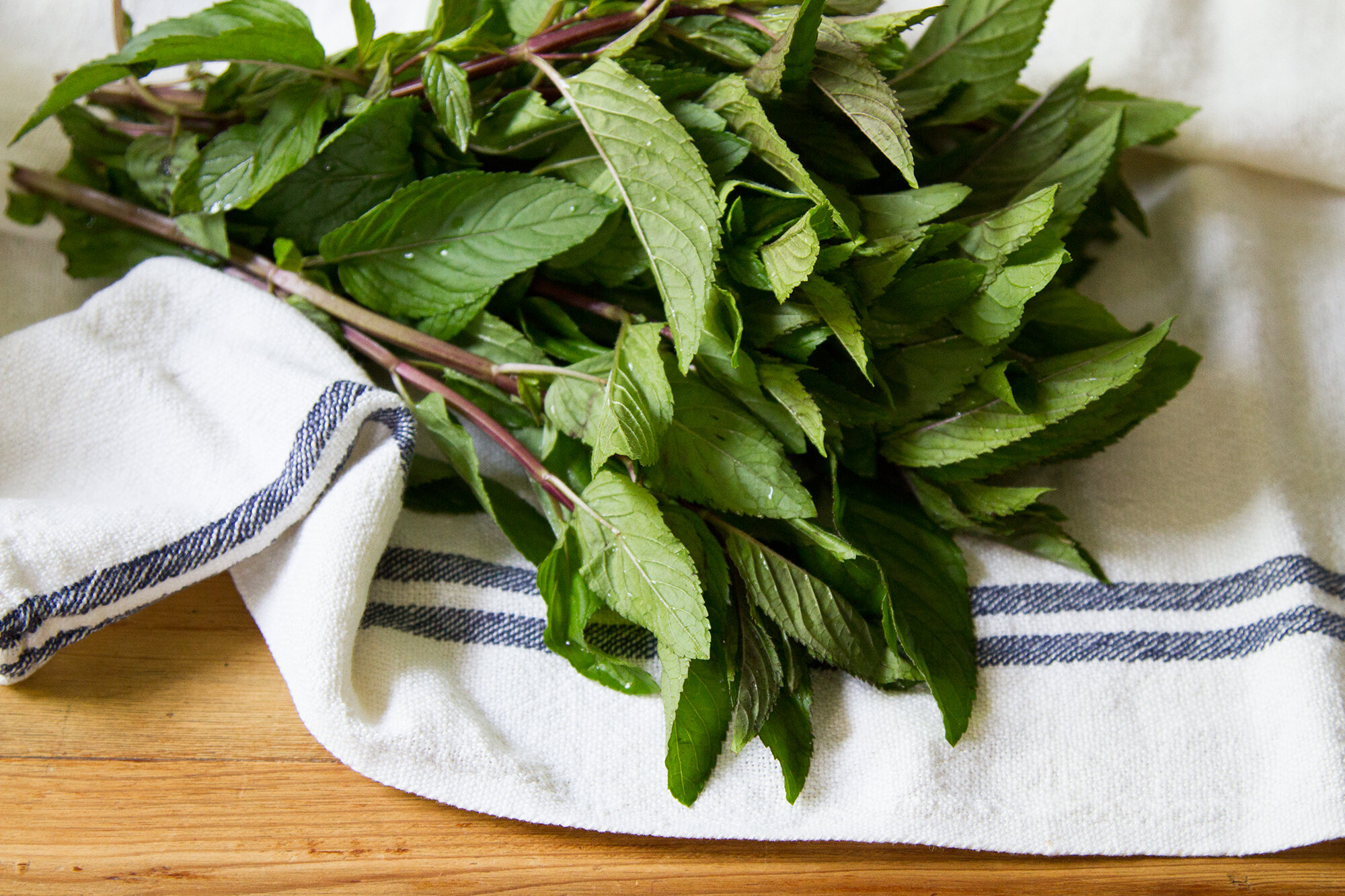 zero-waste produce storage | reading my tea leaves