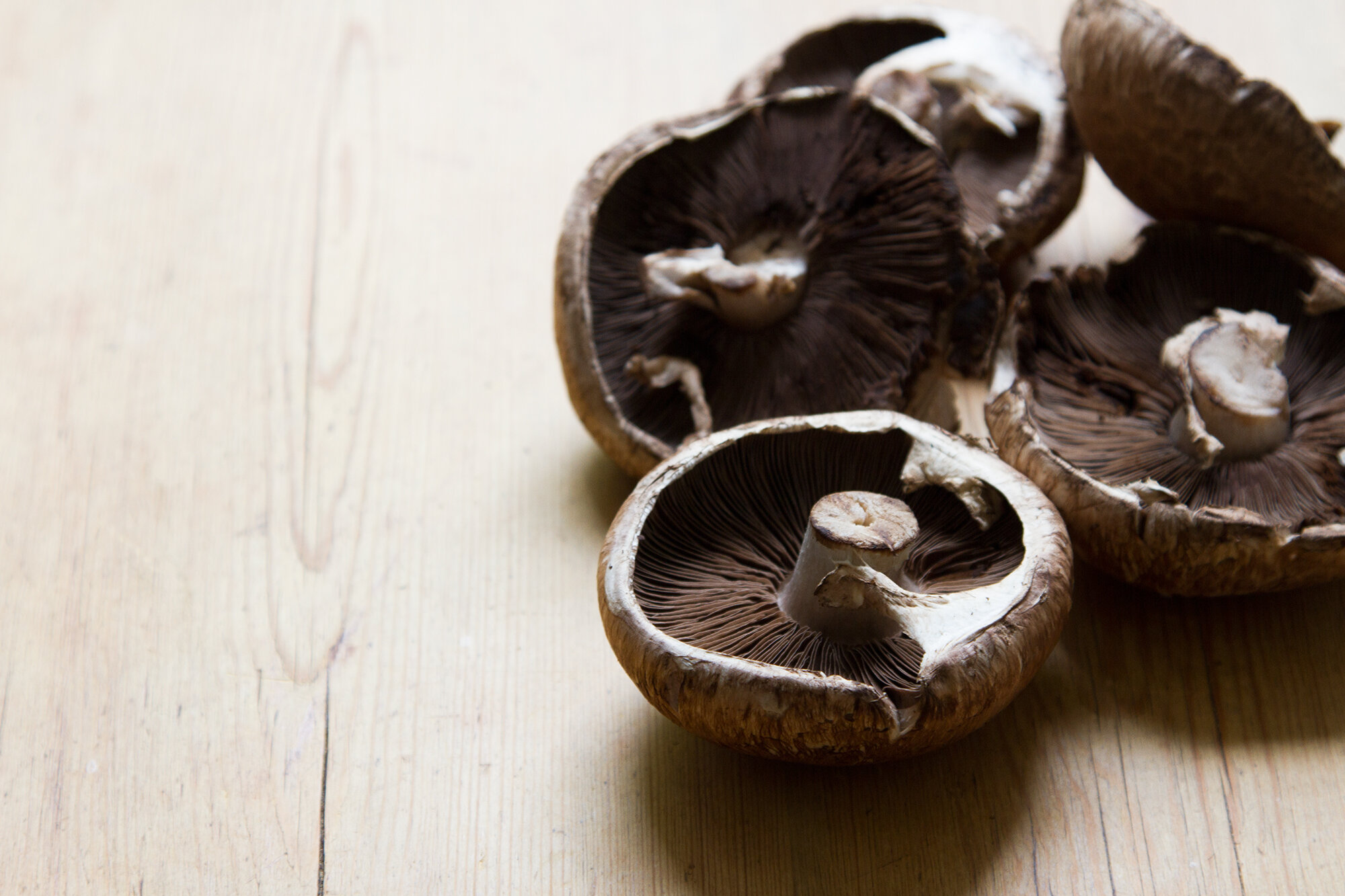mushroom burgers | reading my tea leaves