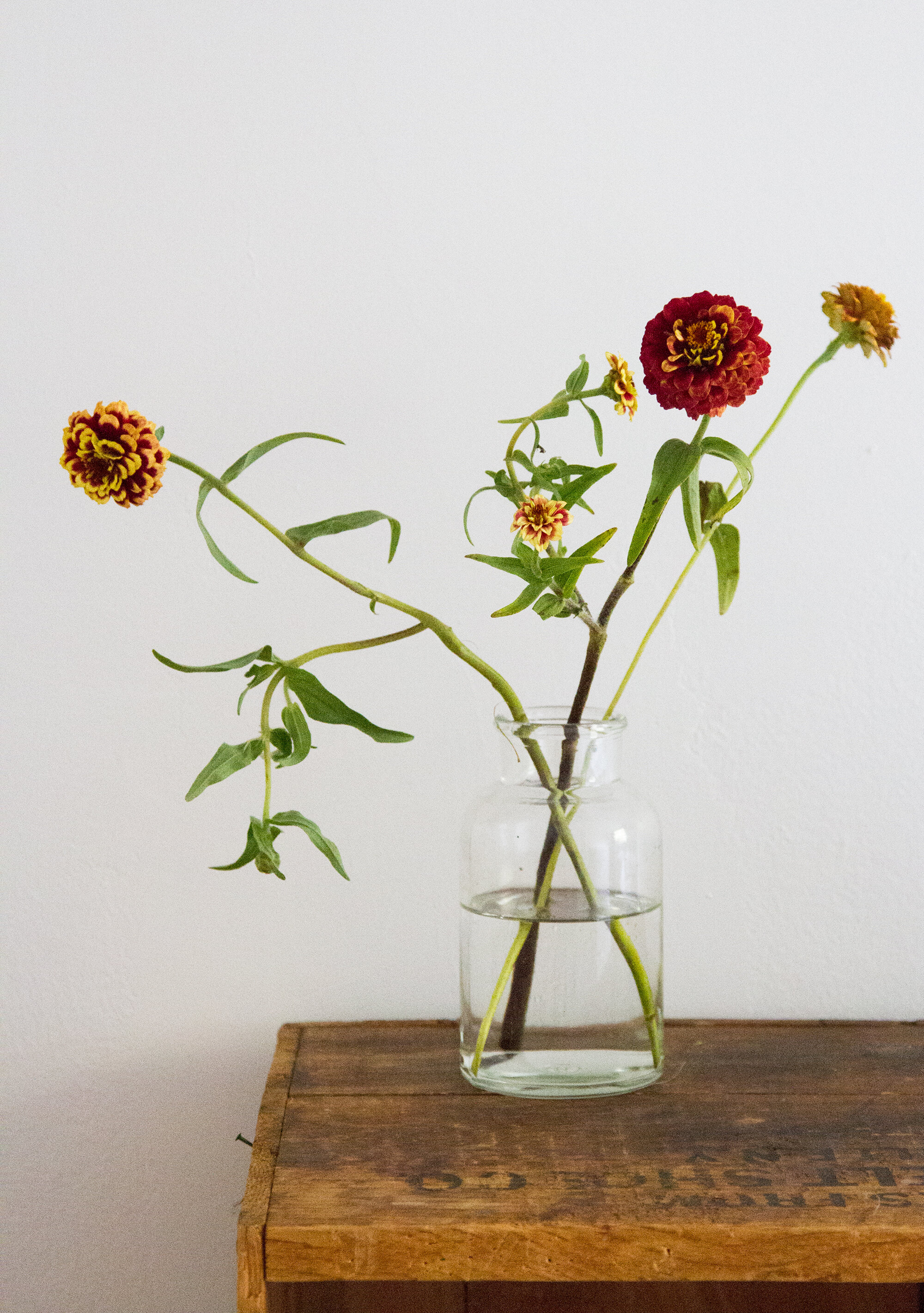 fall, two ways | reading my tea leaves