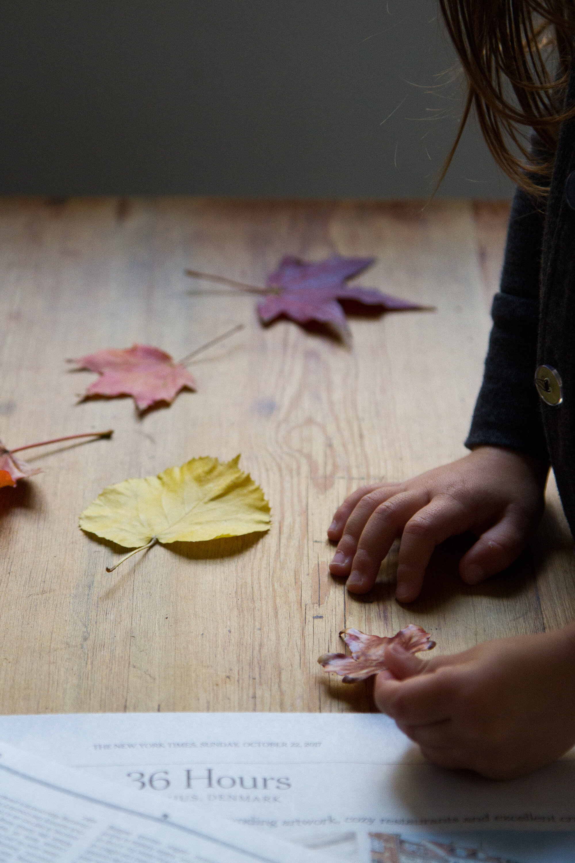 beeswax dipped leaves | reading my tea leaves