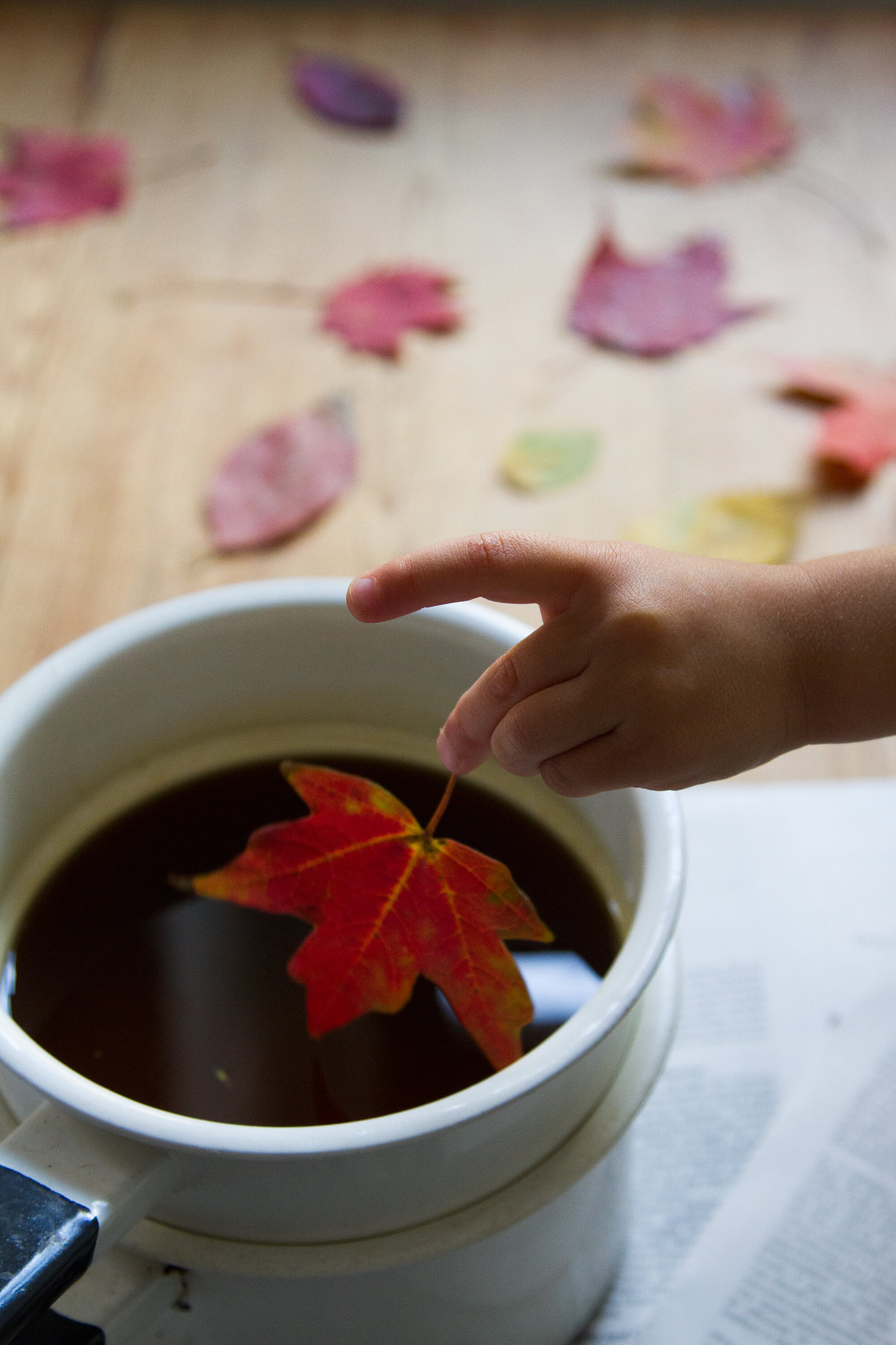beeswax dipped leaves | reading my tea leaves