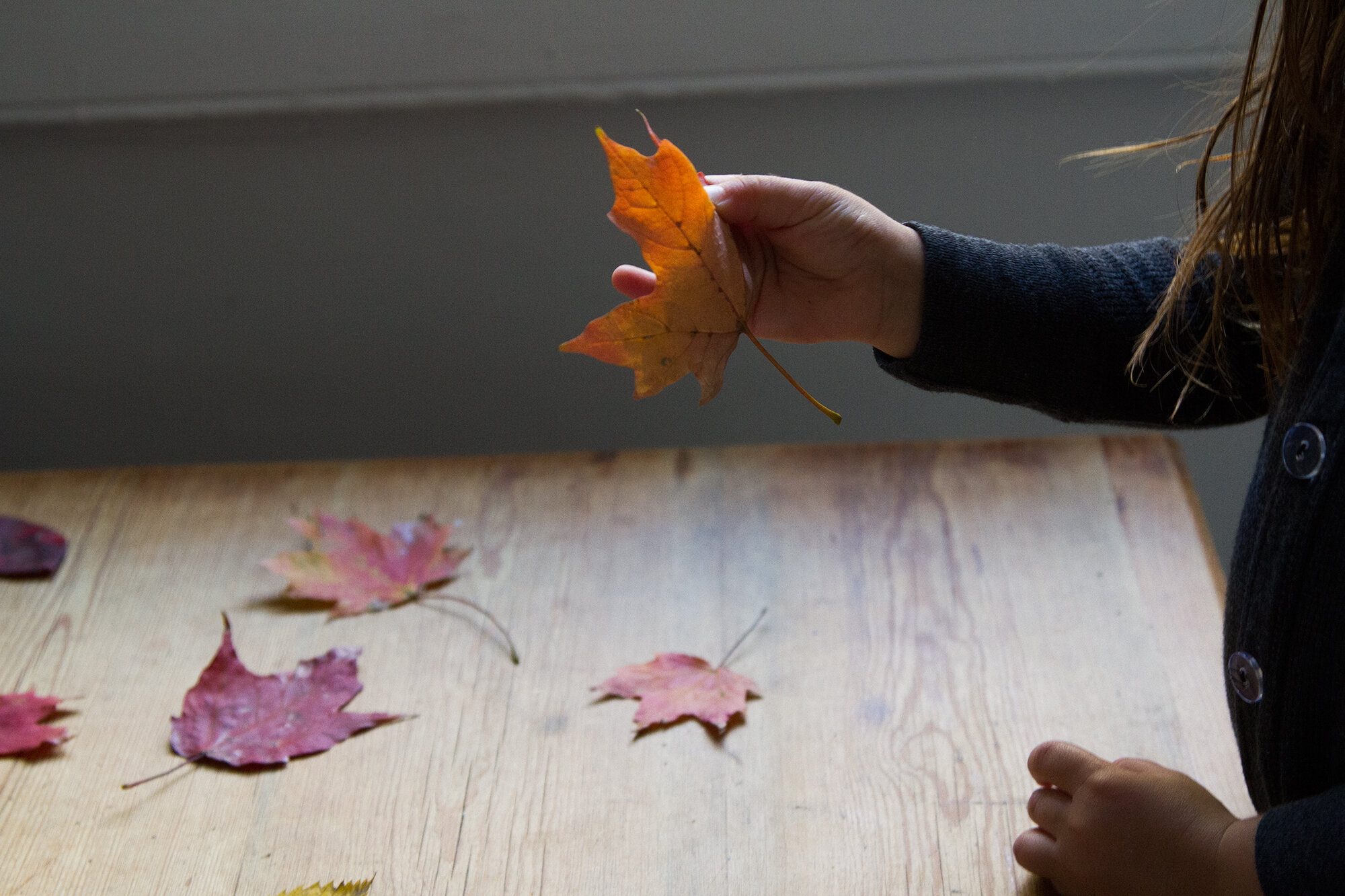 beeswax dipped leaves | reading my tea leaves
