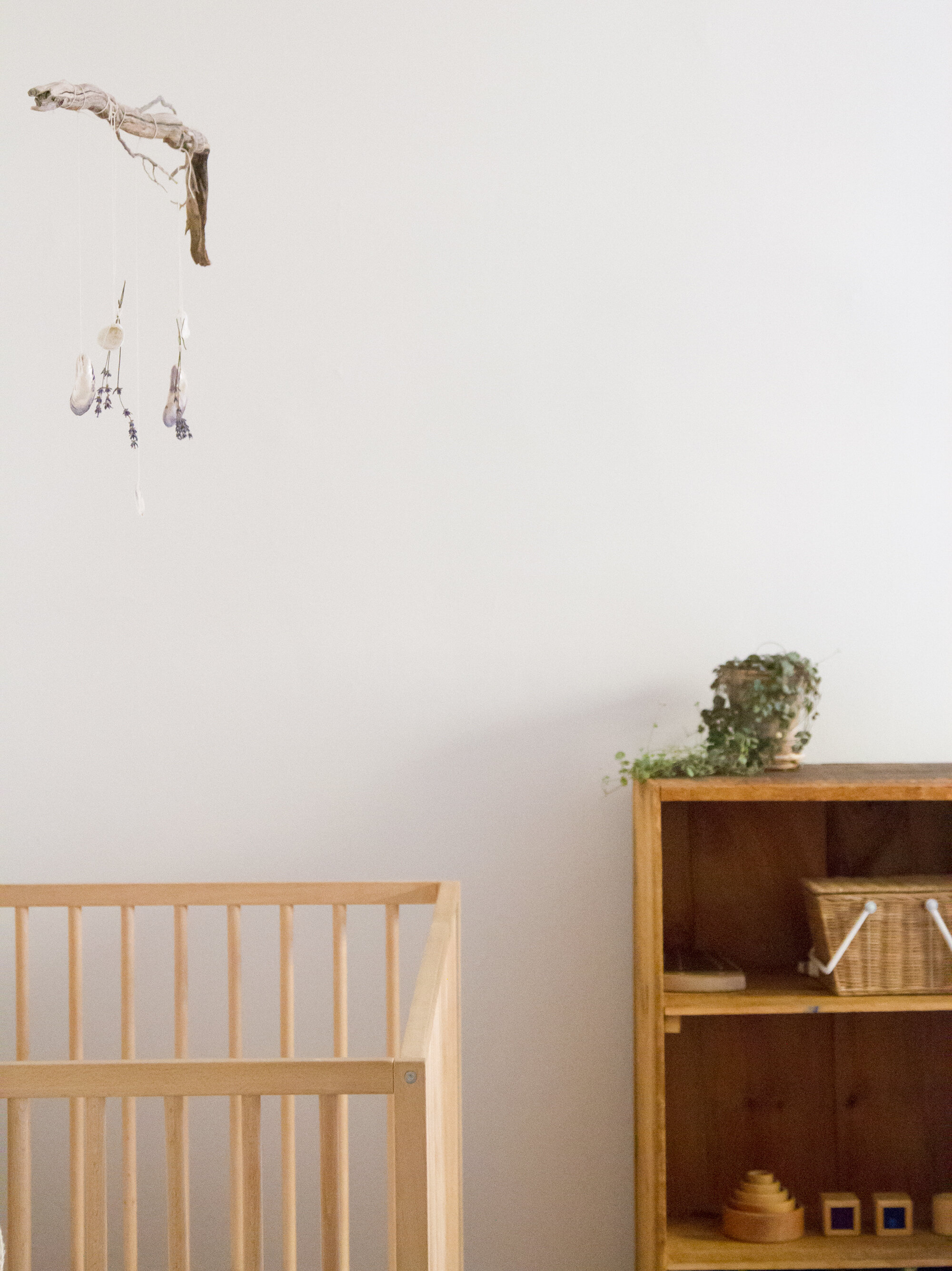 baby proofing | reading my tea leaves