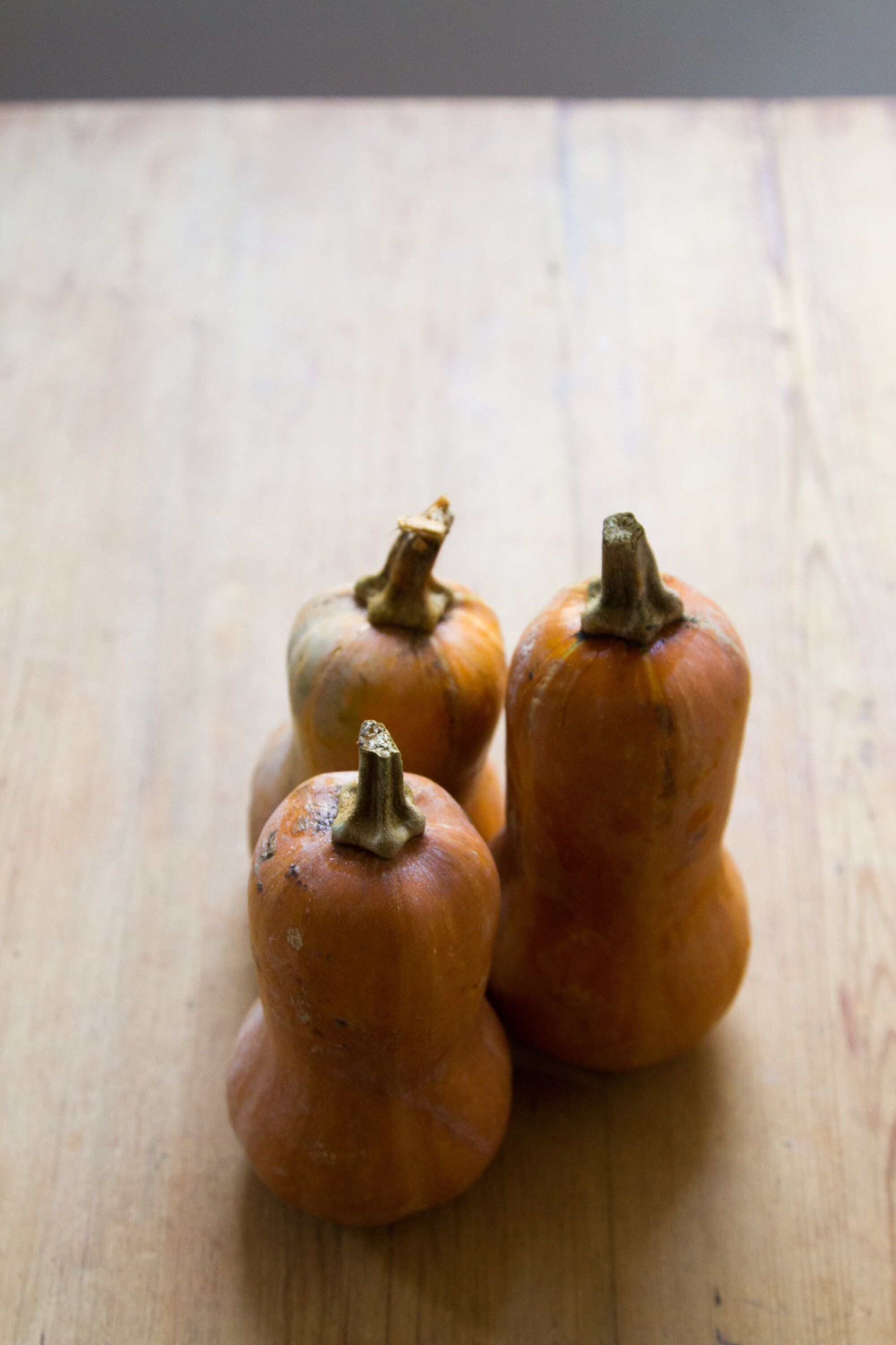 squash lanterns | reading my tea leaves