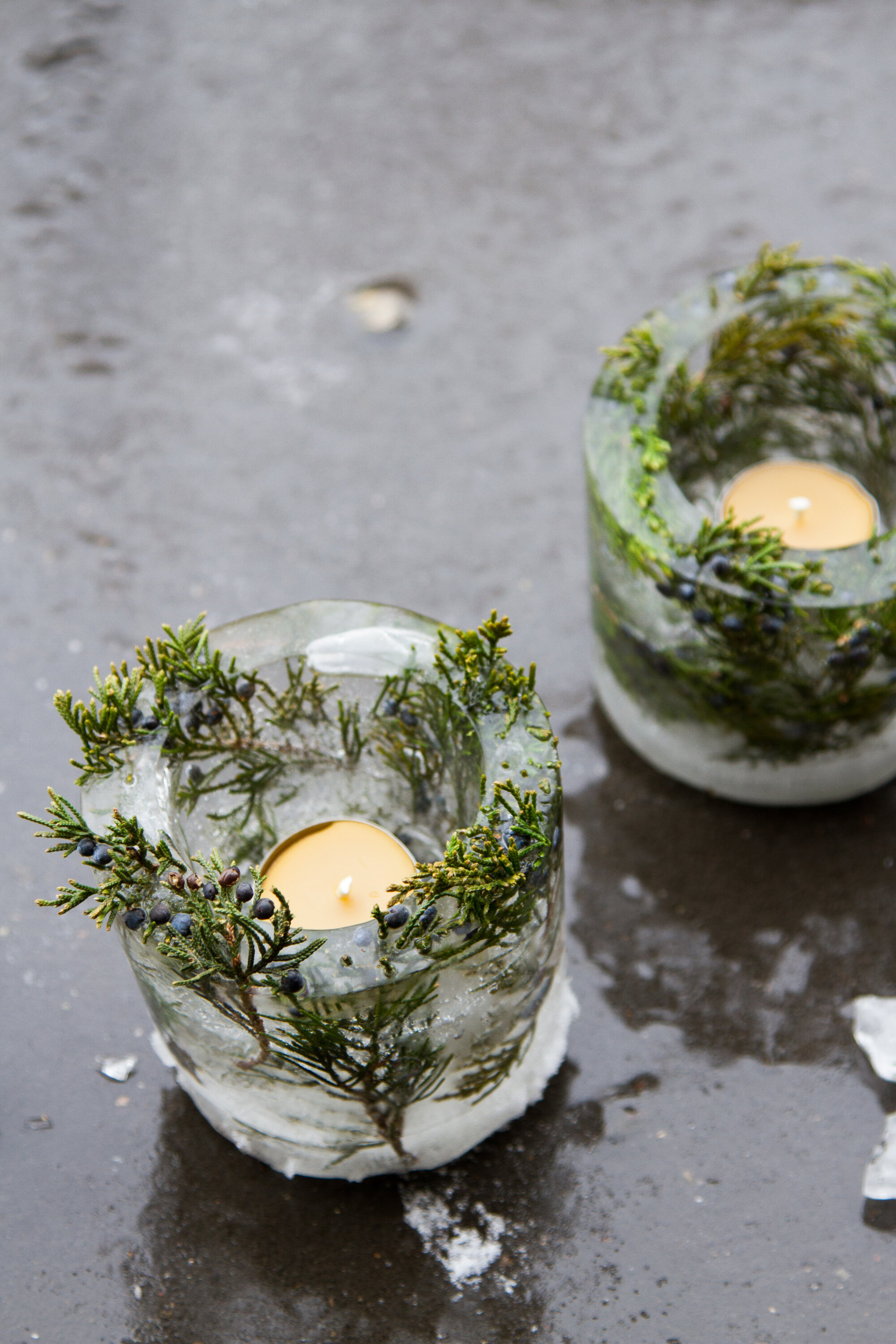 ice lanterns | reading my tea leaves