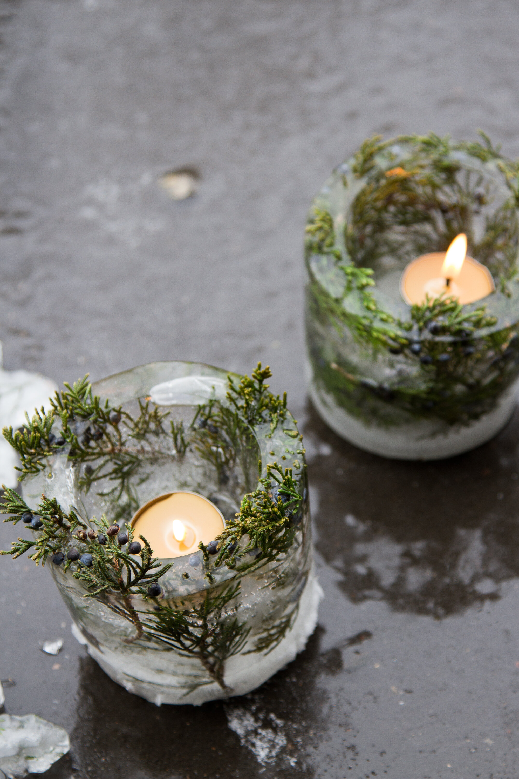 ice lanterns | reading my tea leaves