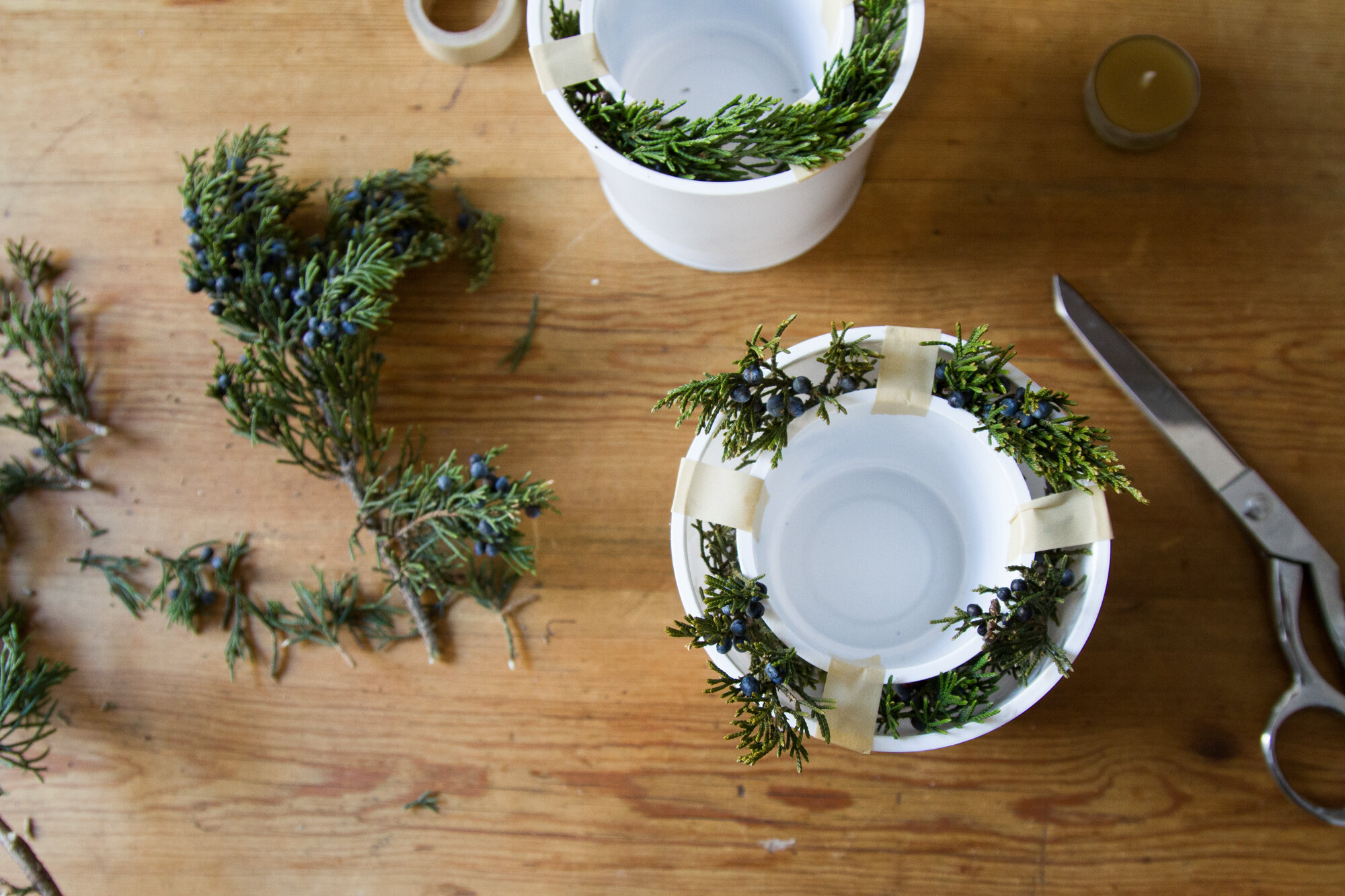 ice lanterns | reading my tea leaves