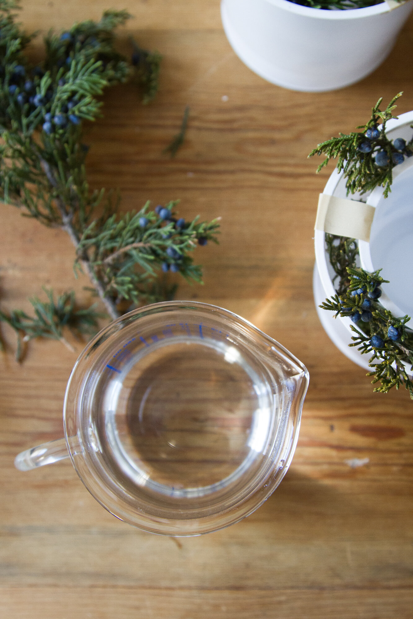 ice lanterns | reading my tea leaves