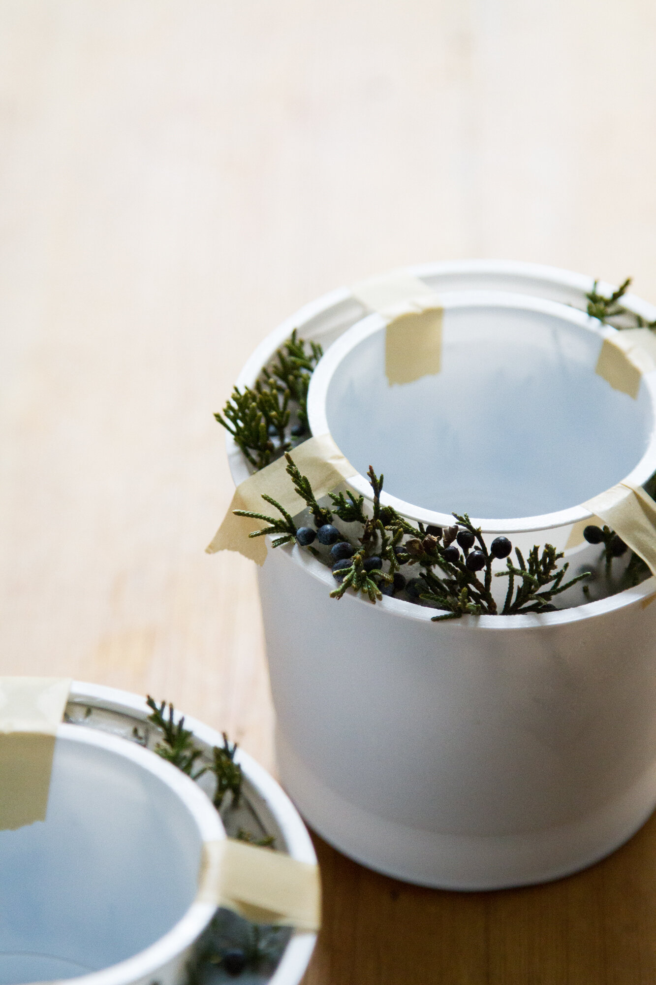 ice lanterns | reading my tea leaves