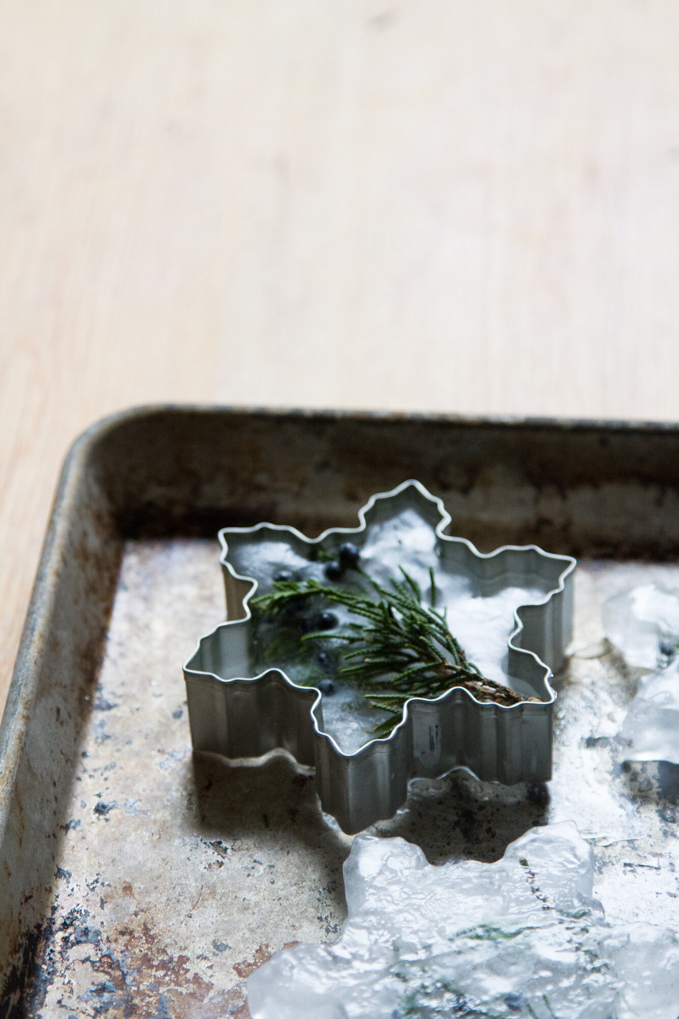 ice lanterns | reading my tea leaves