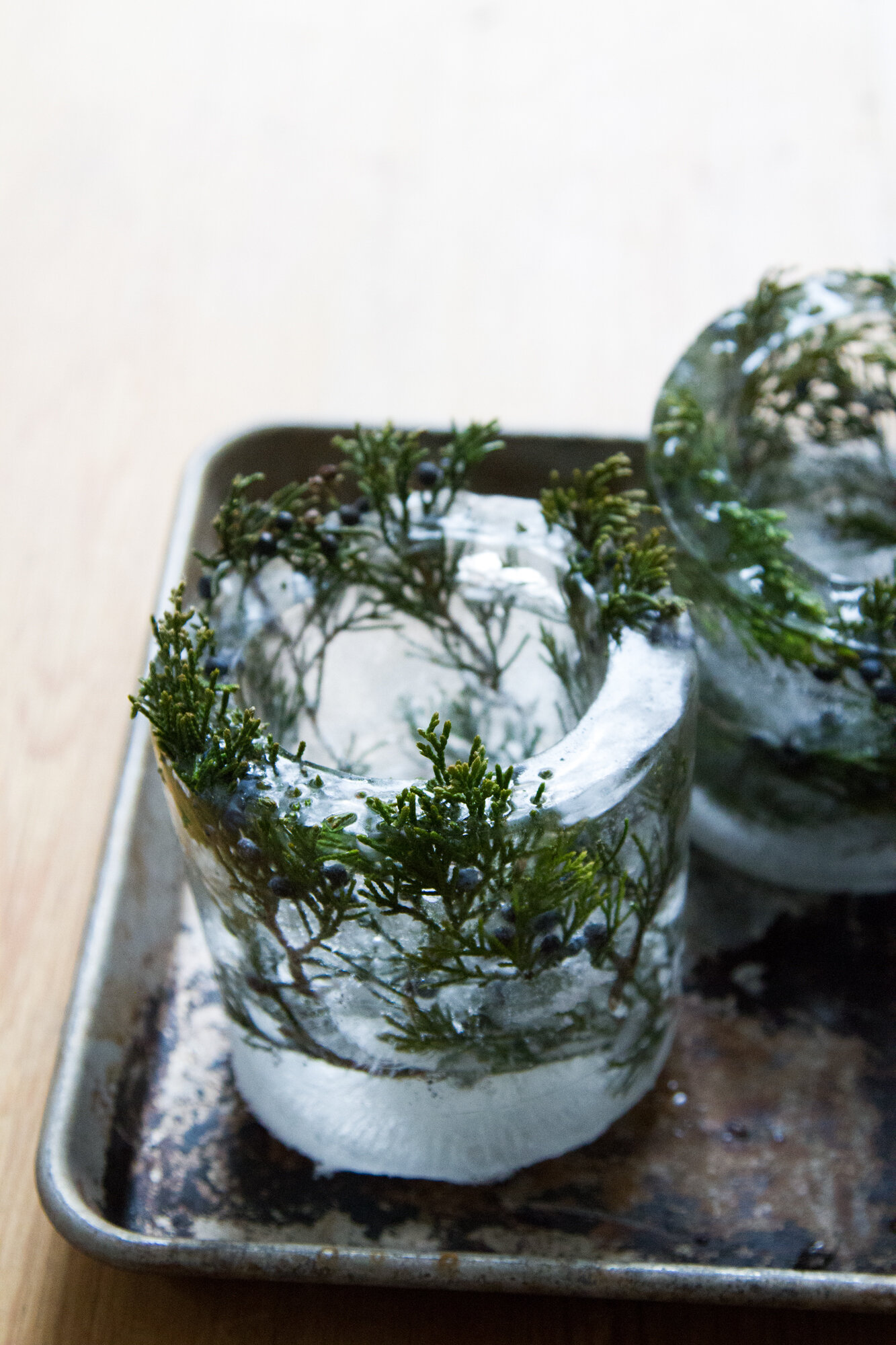 ice lanterns | reading my tea leaves