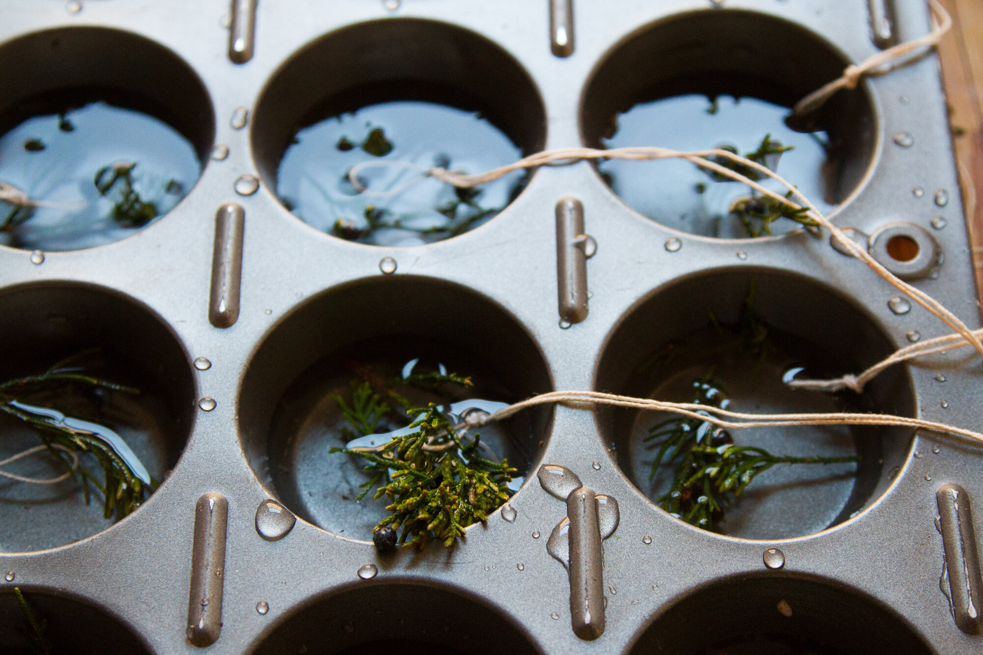 ice ornaments | reading my tea leaves