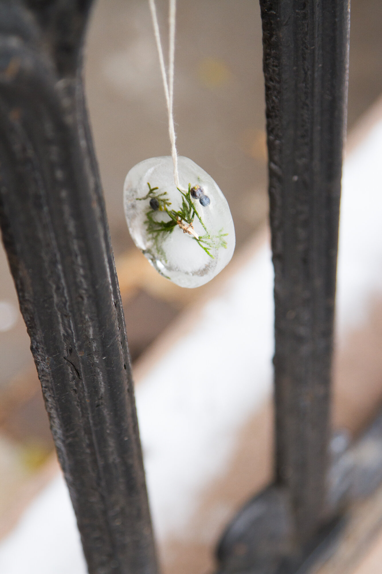 ice ornaments | reading my tea leaves