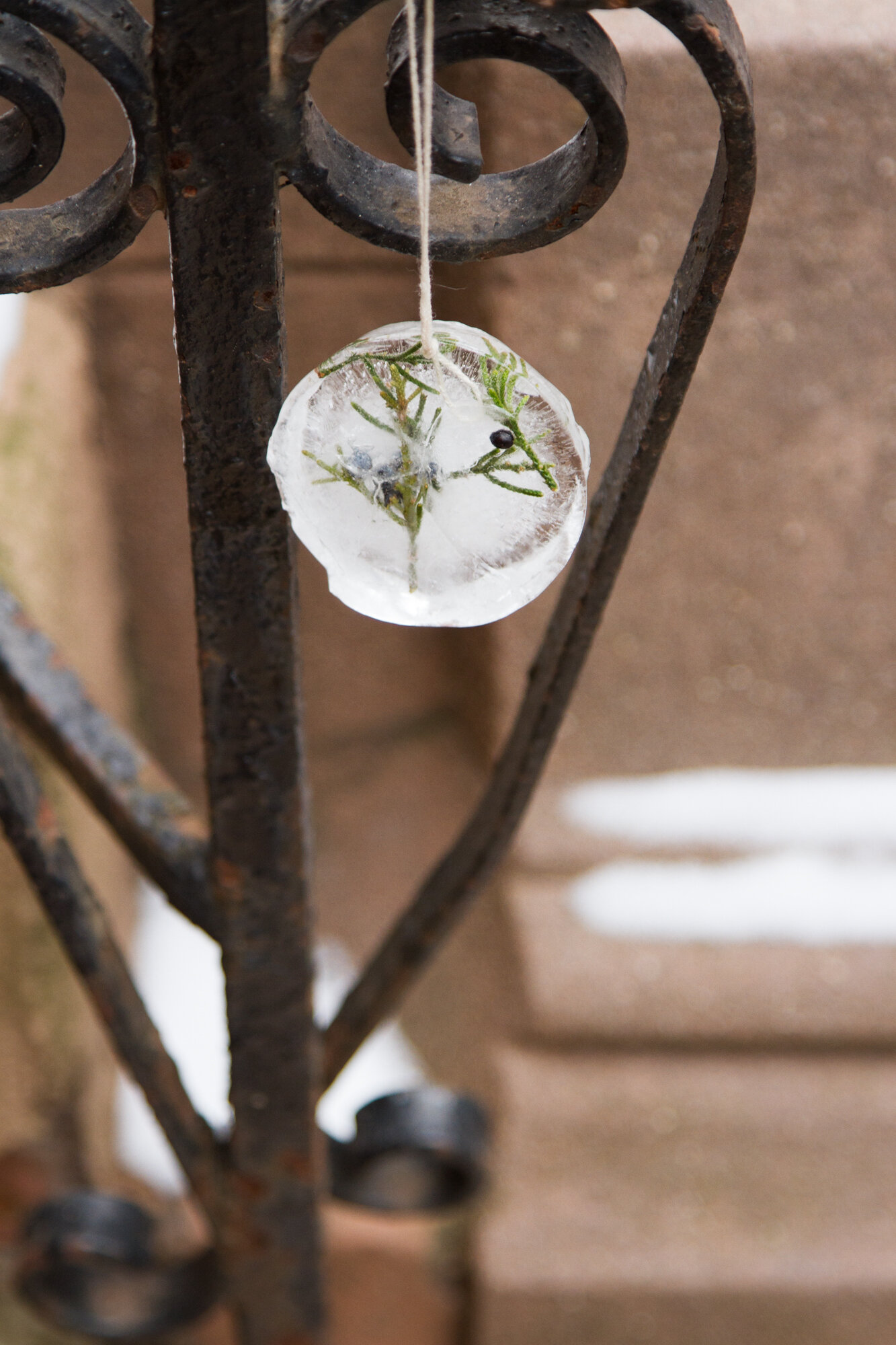 ice ornaments | reading my tea leaves