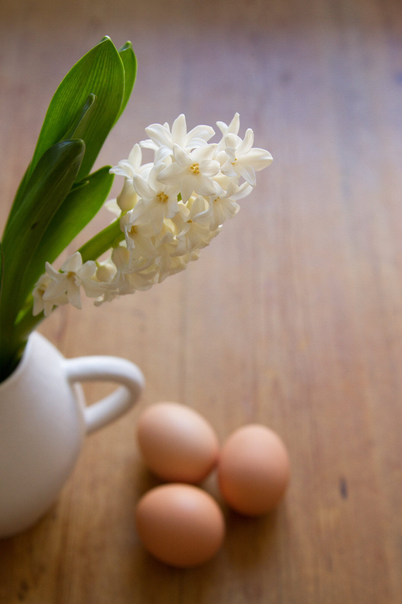 eco-friendly easter ideas | reading my tea leaves