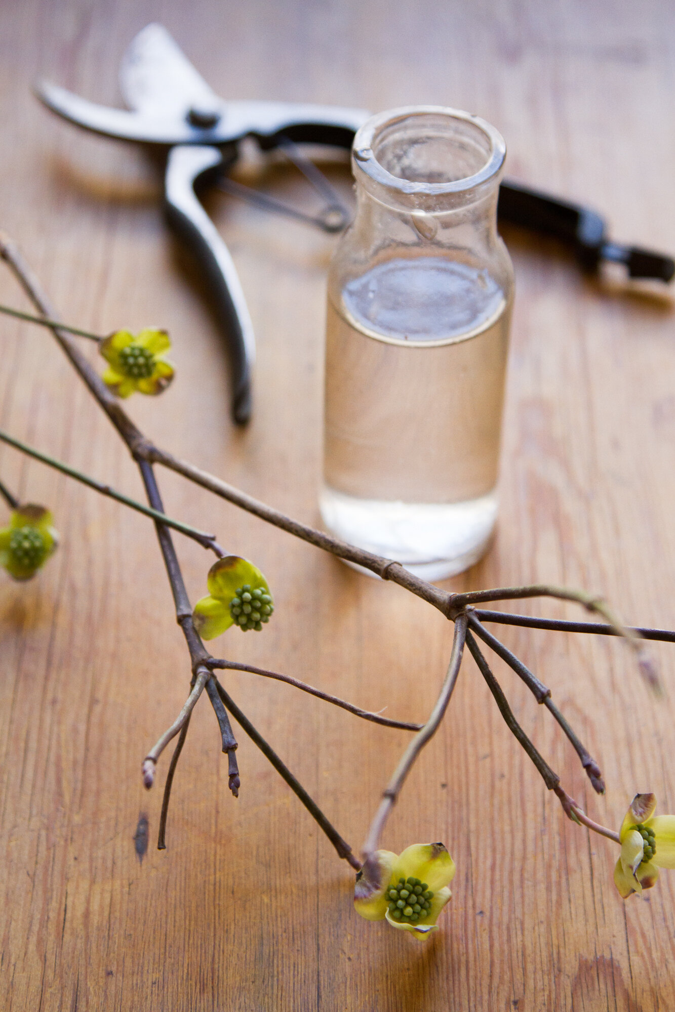 eco-friendly easter ideas | reading my tea leaves