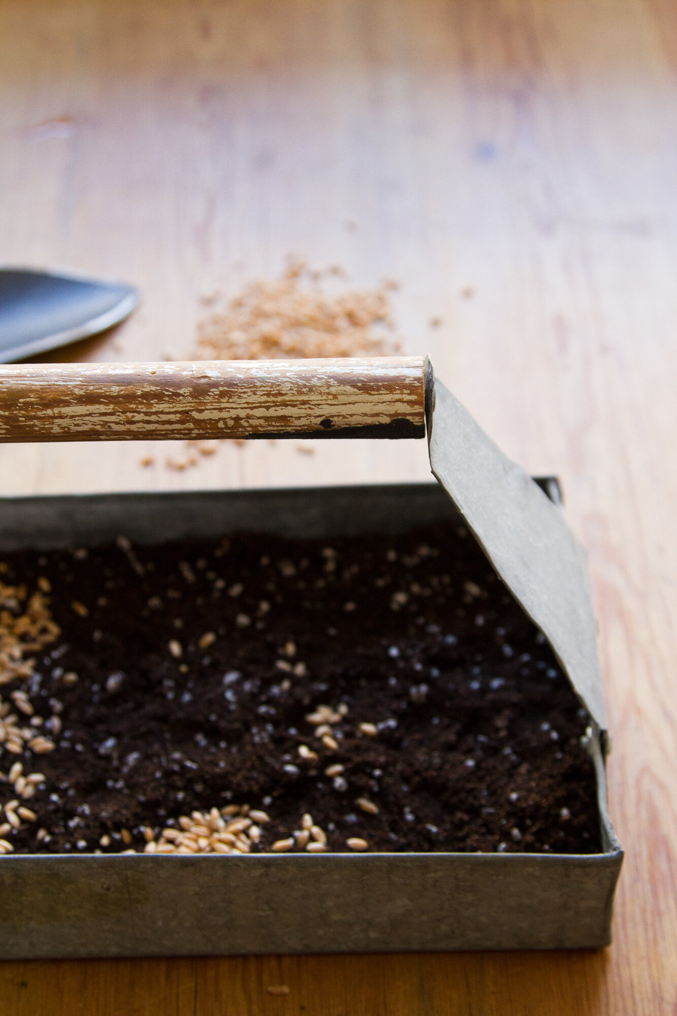 eco-friendly easter ideas | reading my tea leaves