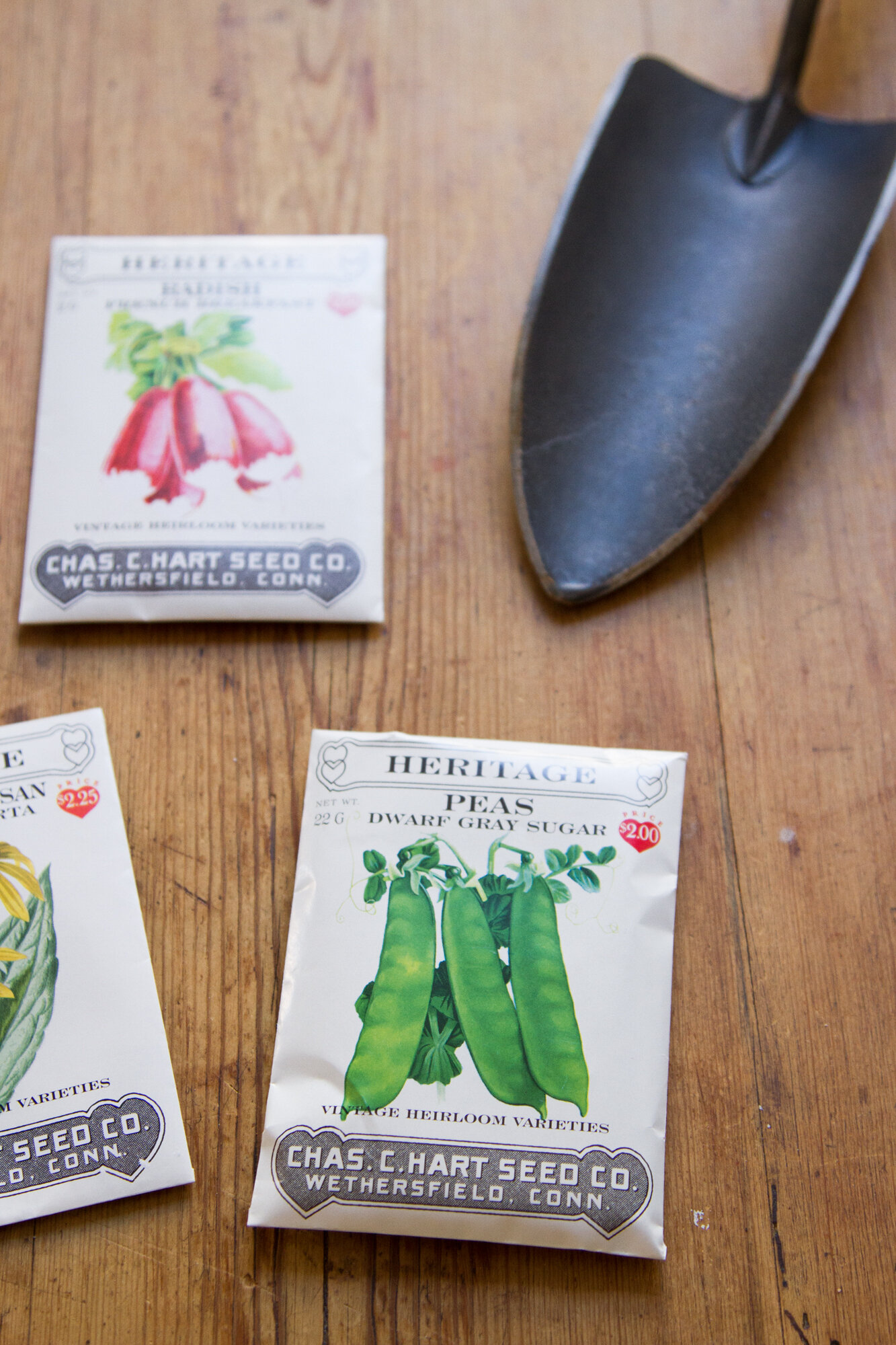 eco-friendly easter ideas | reading my tea leaves