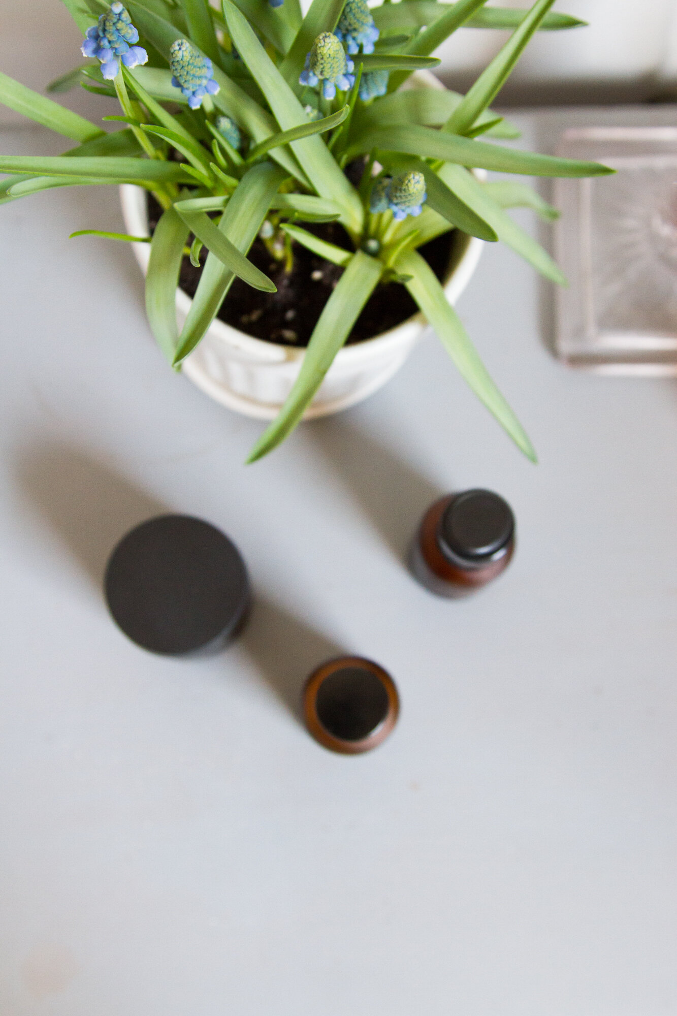 bedtime routine | reading my tea leaves
