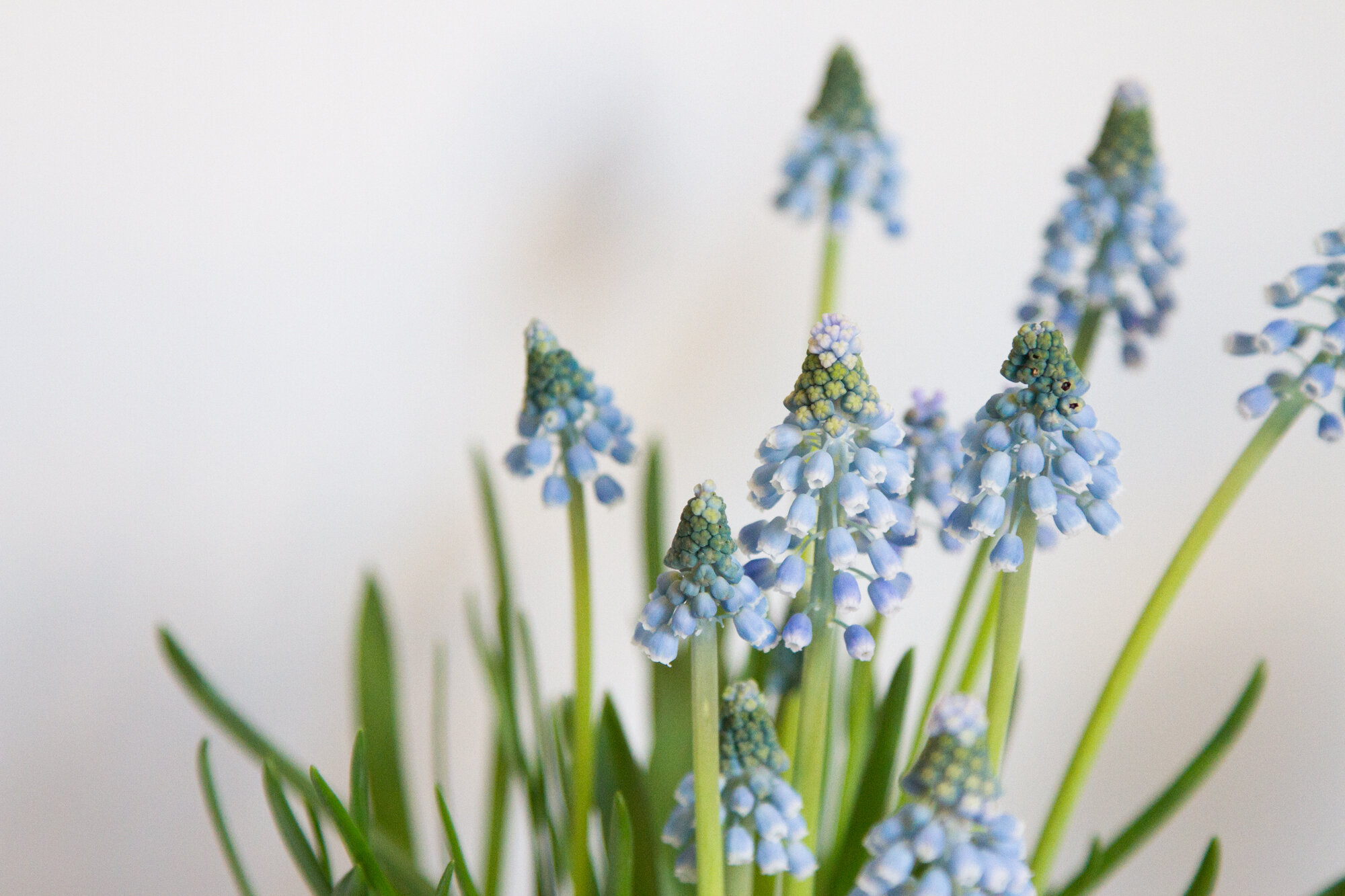 how to know it's may | reading my tea leaves