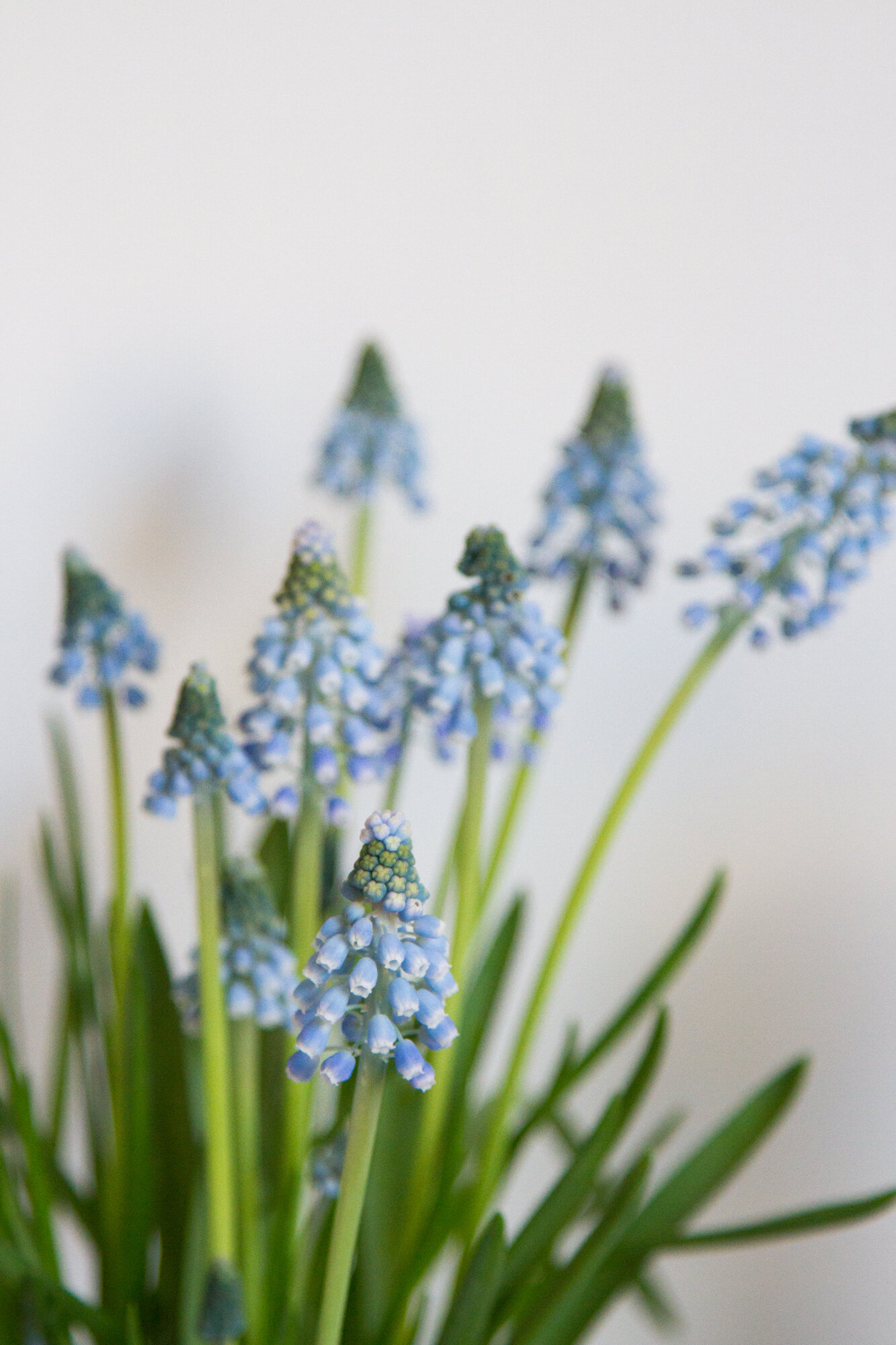 how to know it's may | reading my tea leaves