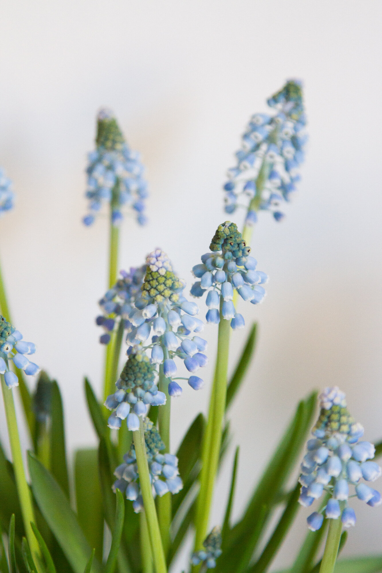 how to know it's may | reading my tea leaves