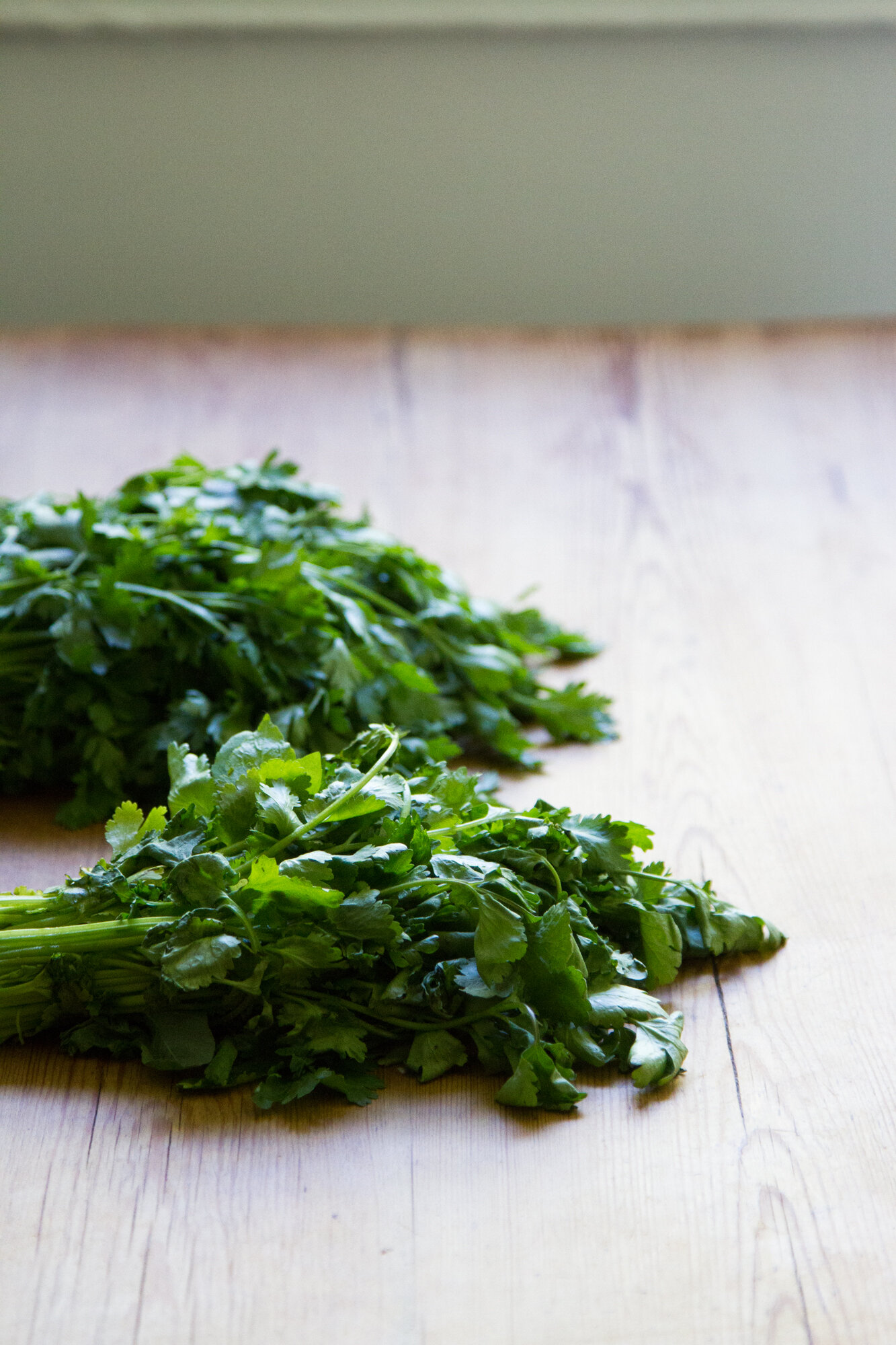 waste not: chimichurri