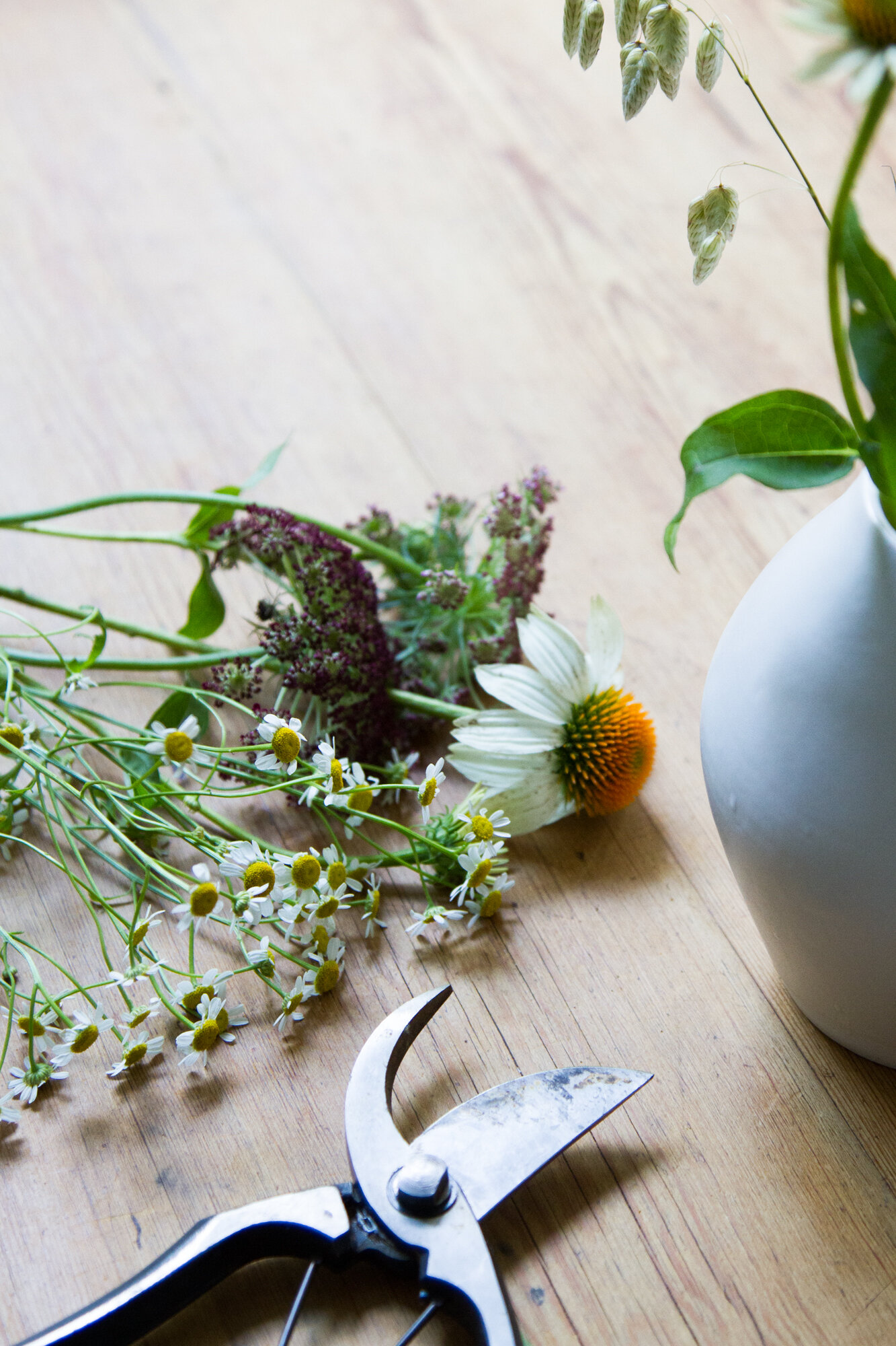 simplifying spending with american express | reading my tea leaves