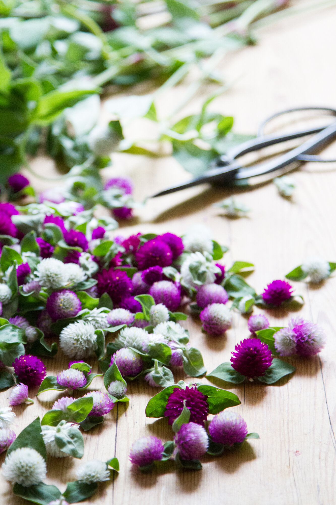 dried flower garland | zero-waste décor | reading my tea leaves