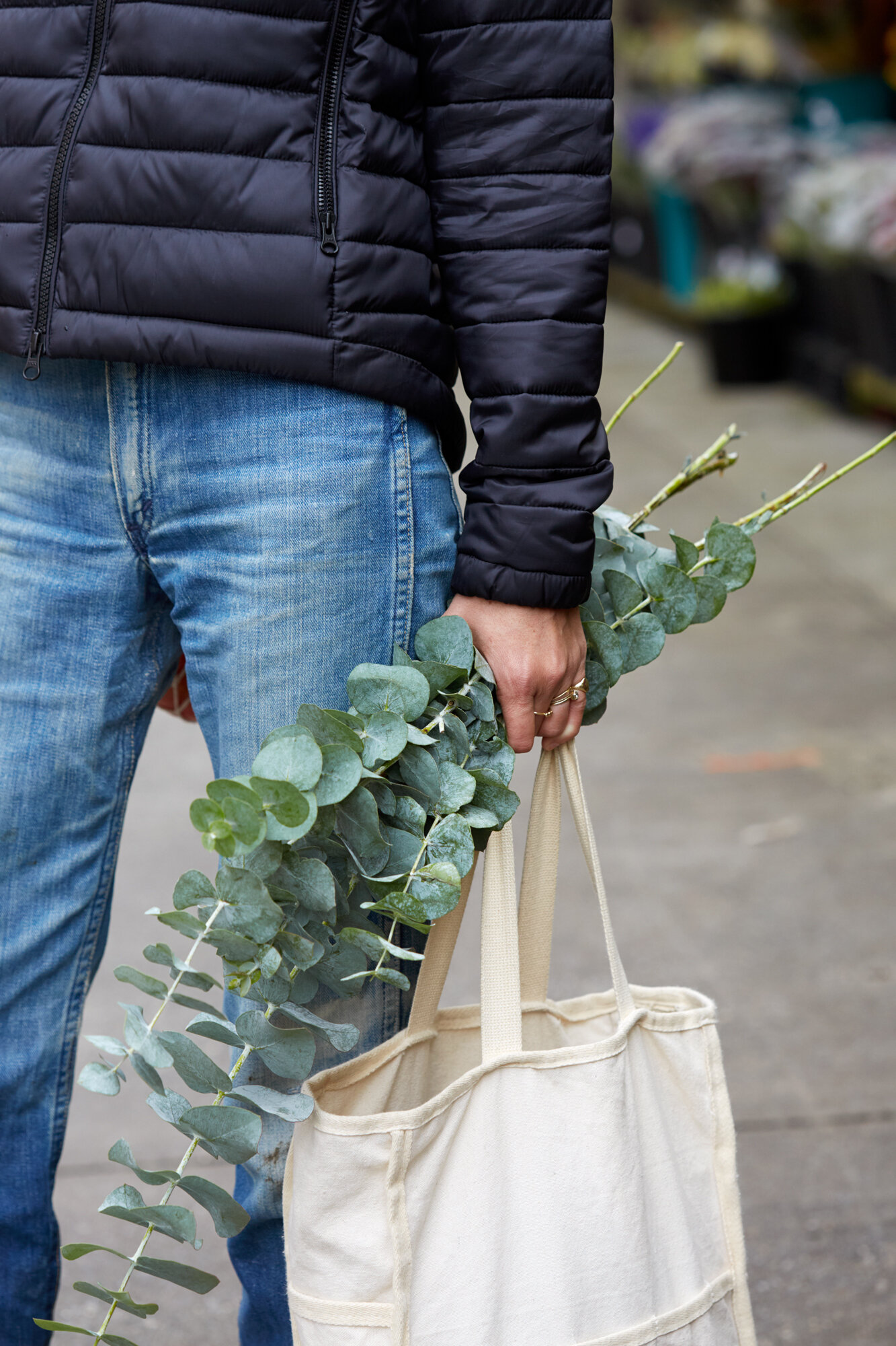 everlane renew | reading my tea leaves