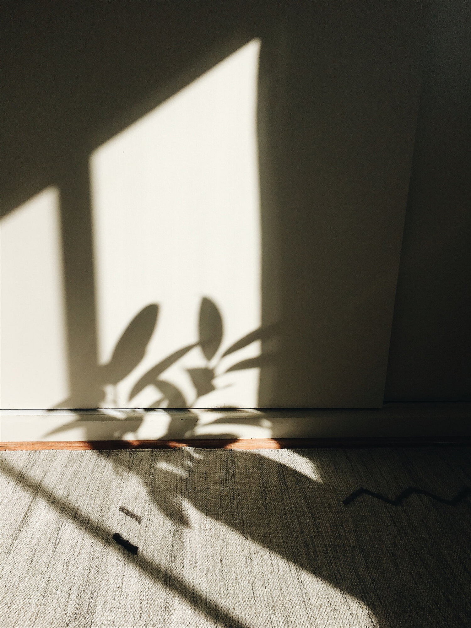gina stovall | simple matters | reading my tea leaves