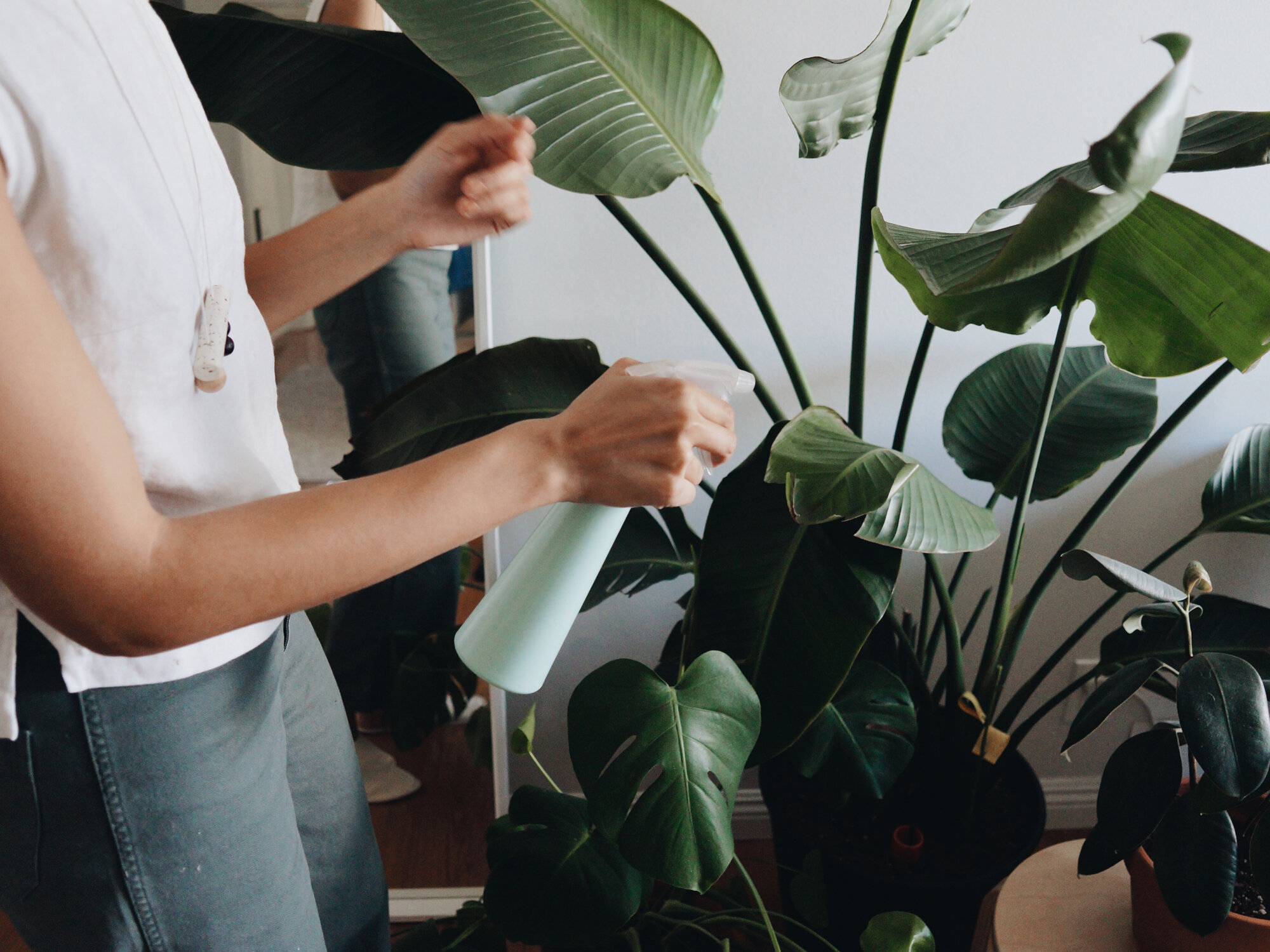gina stovall | simple matters | reading my tea leaves