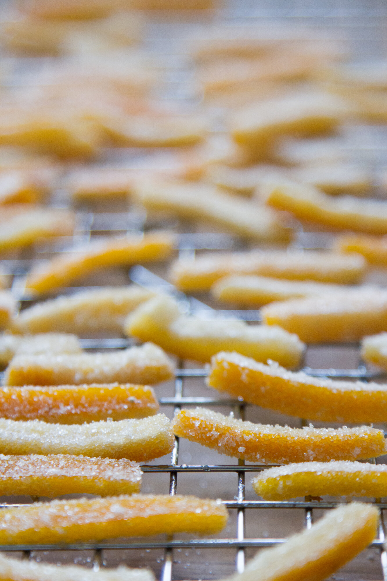 candied orange peel | reading my tea leaves