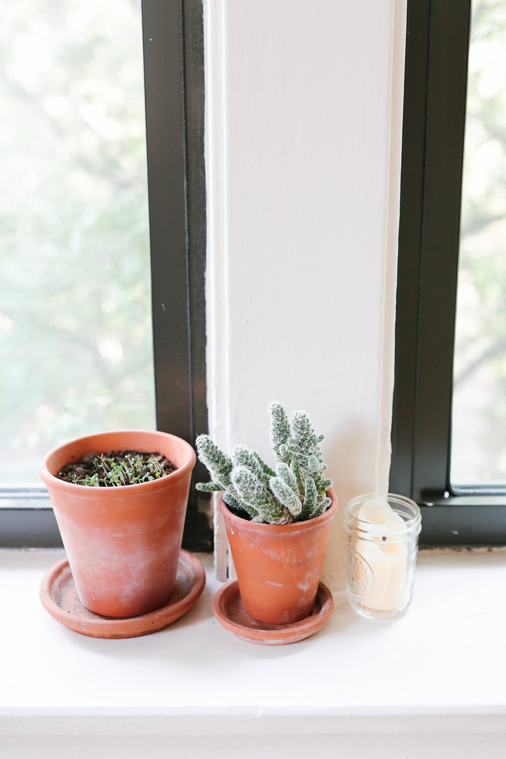 simple matters: celia ristow of litterless | reading my tea leaves