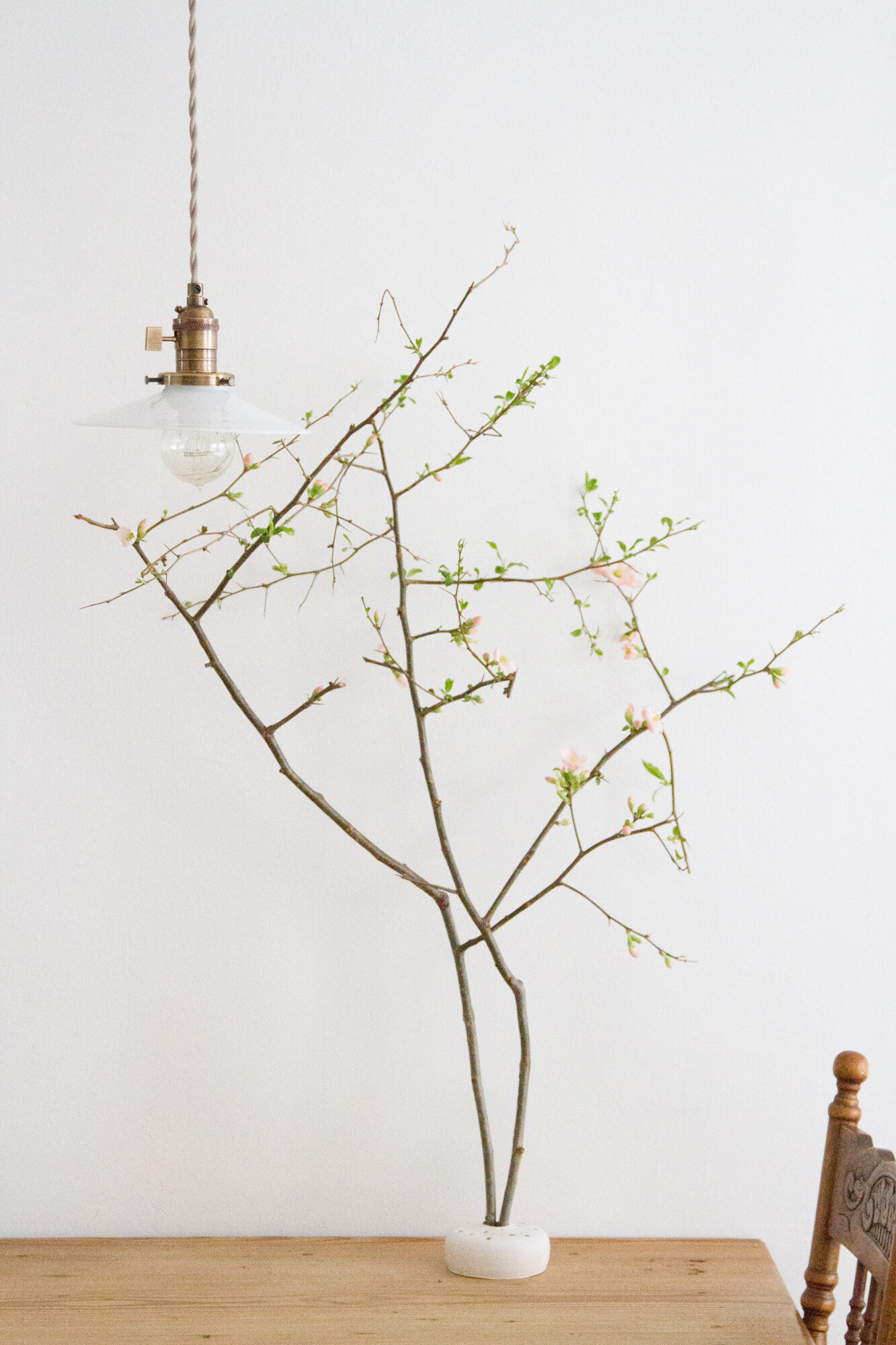 antique milk glass pendant lamp | reading my tea leaves