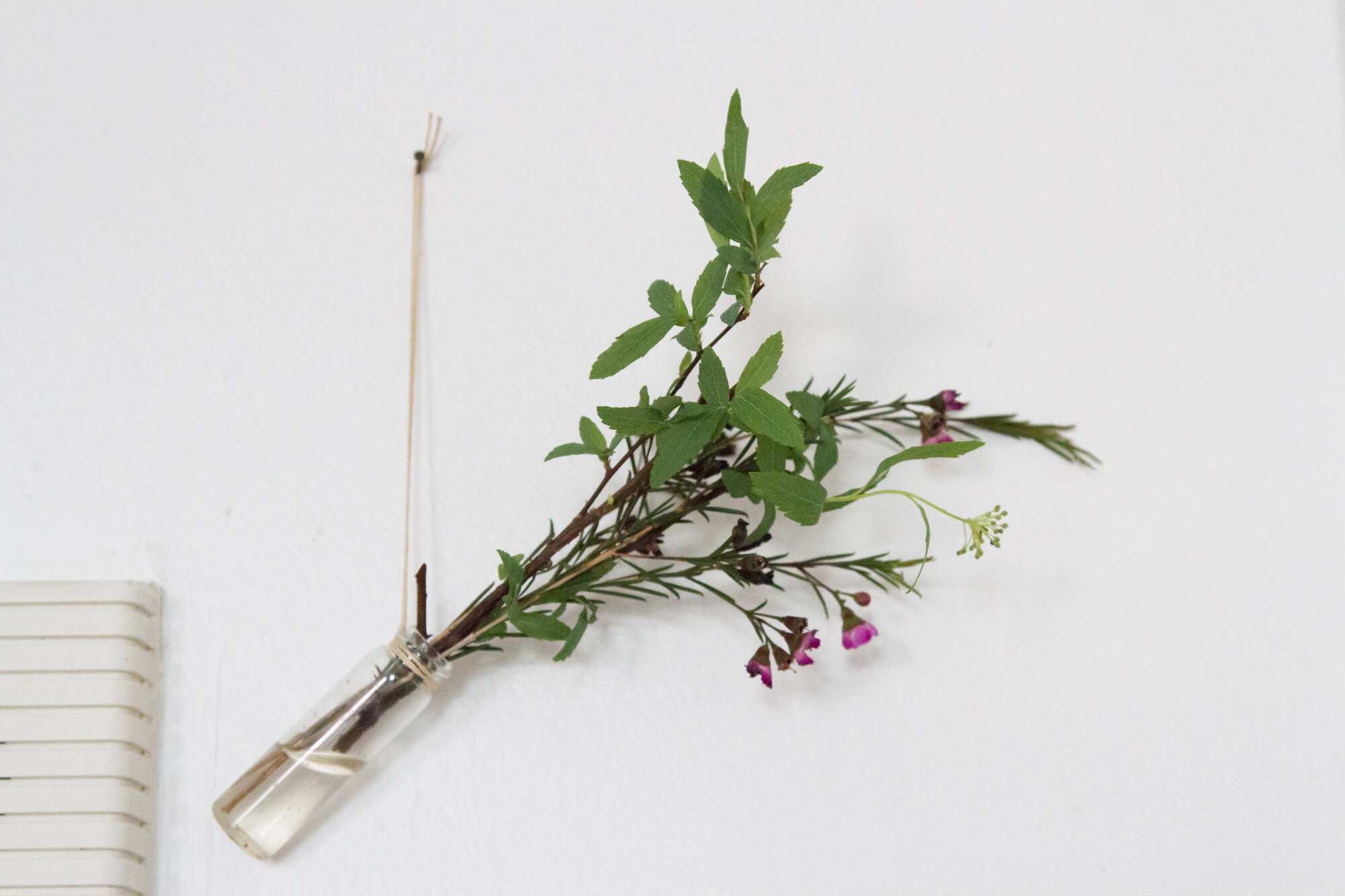 flowers in a glass vial | reading my tea leaves