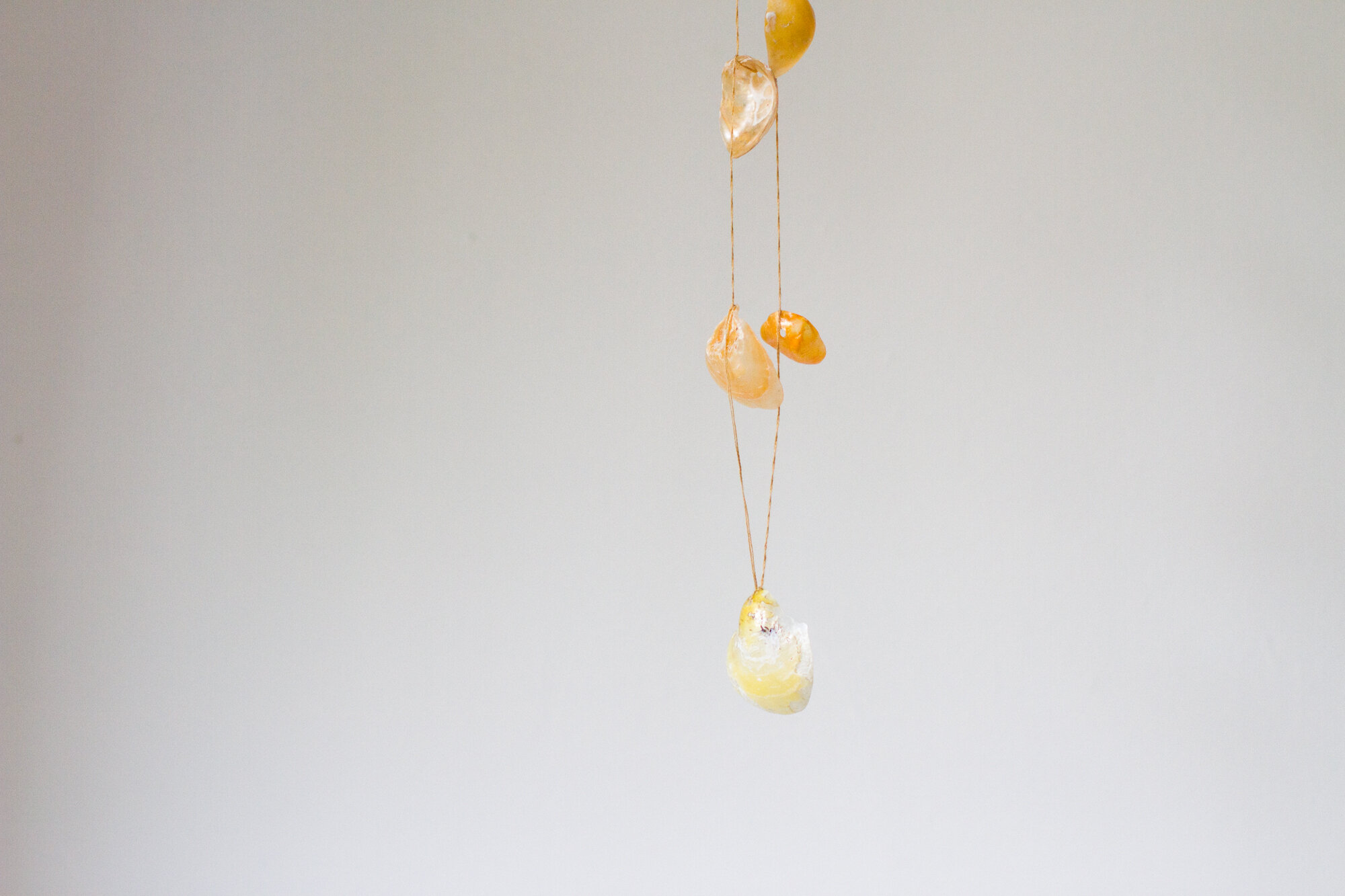 shell necklace