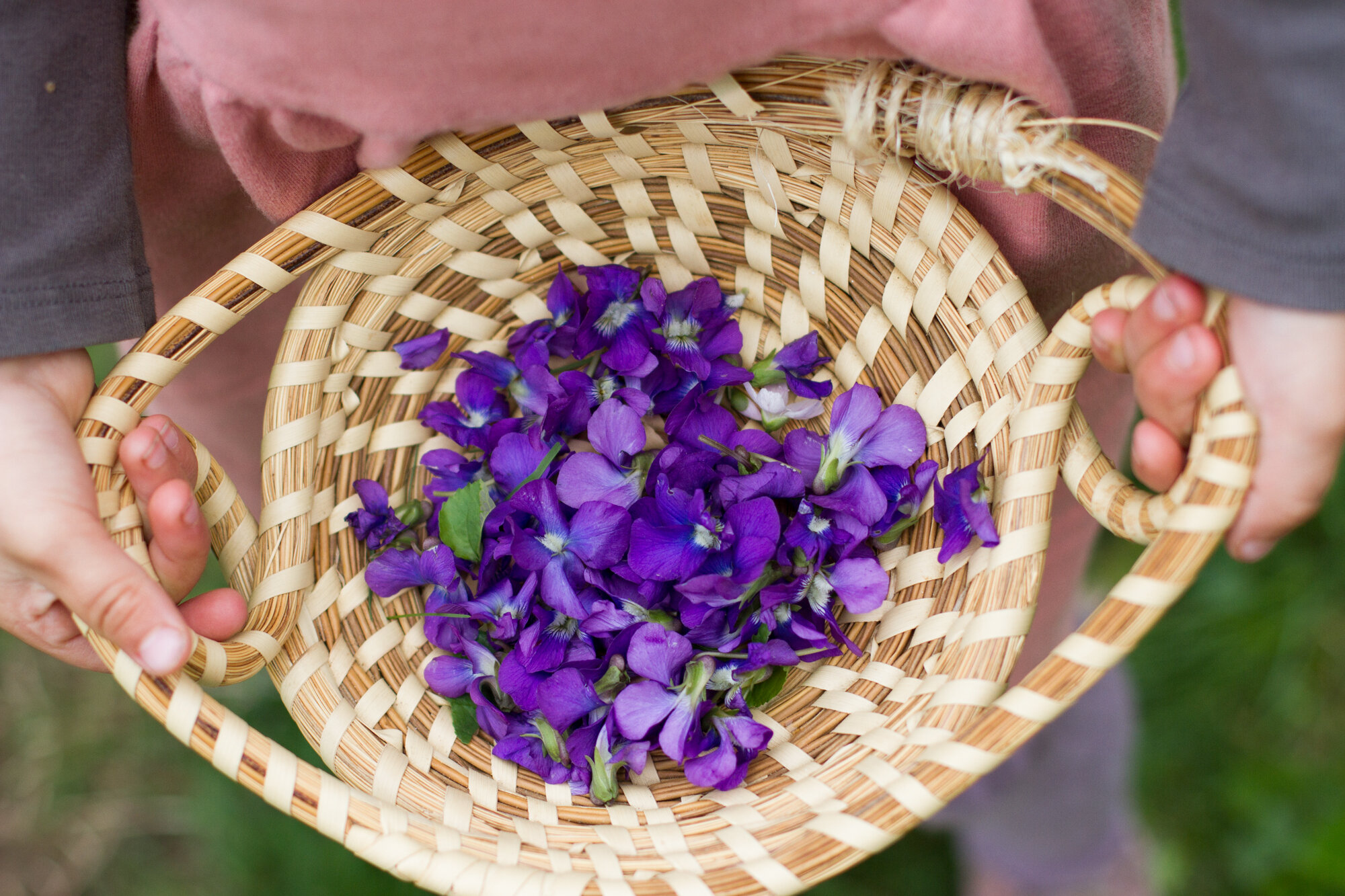 make your own violet syrup | reading my tea leaves