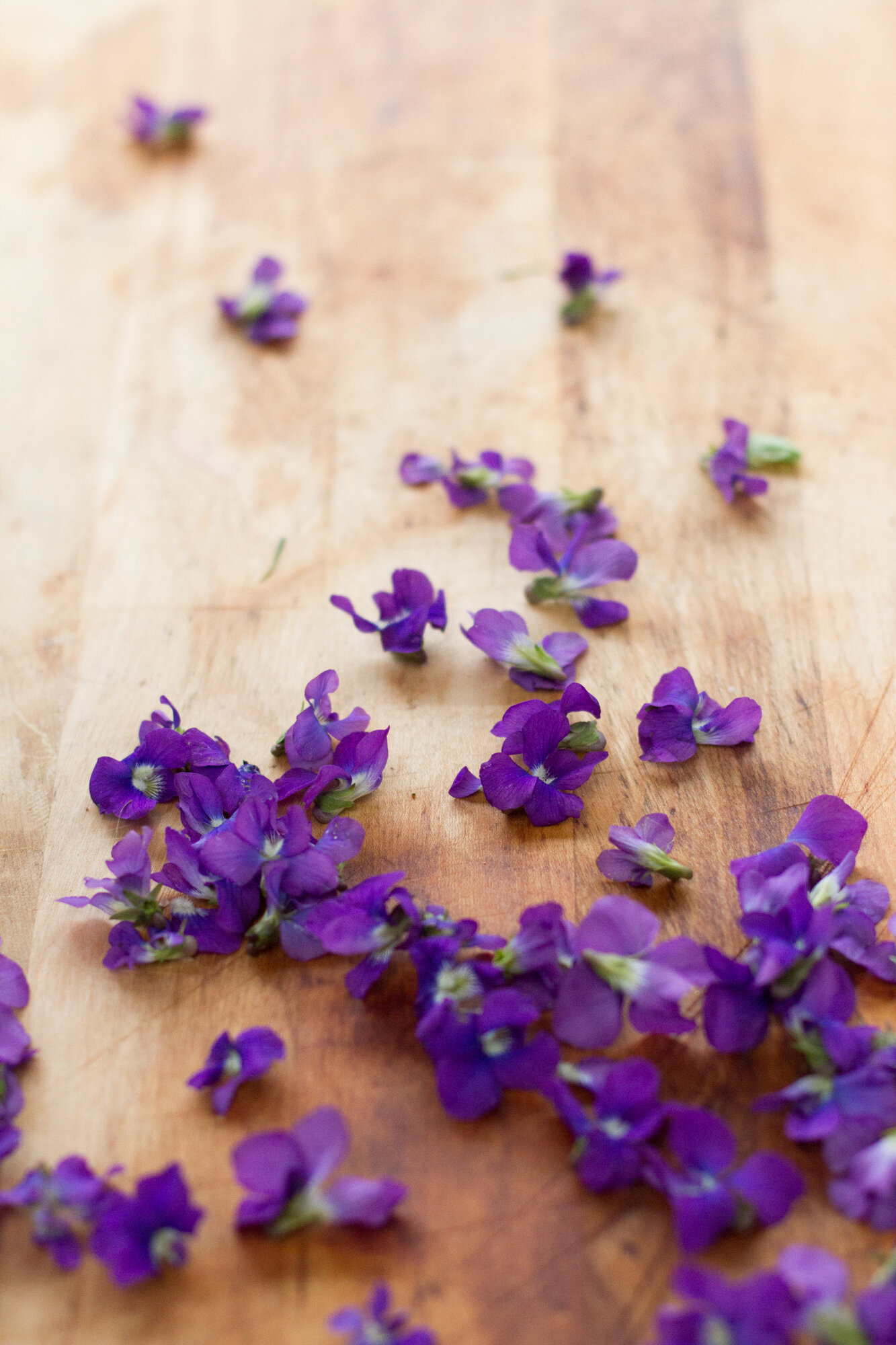 make your own violet syrup | reading my tea leaves