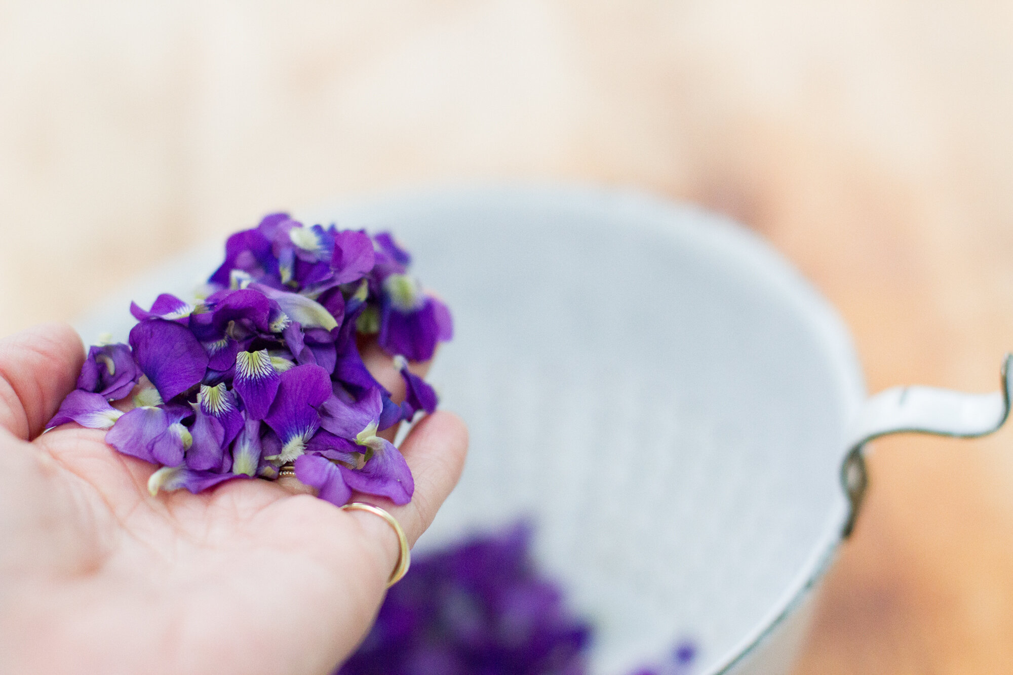 make your own violet syrup | reading my tea leaves