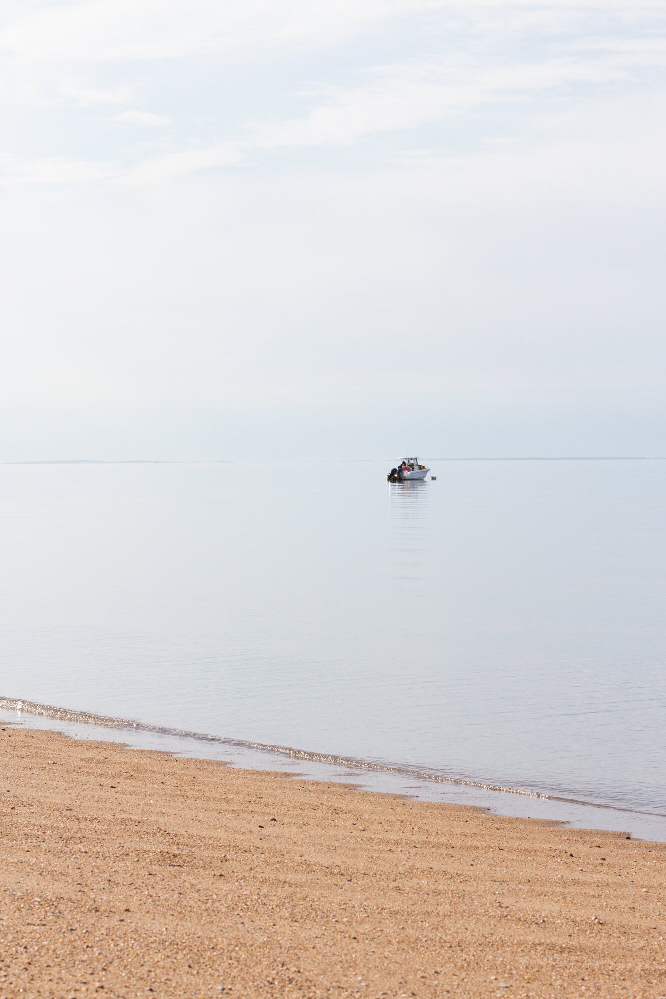 long island sound | reading my tea leaves