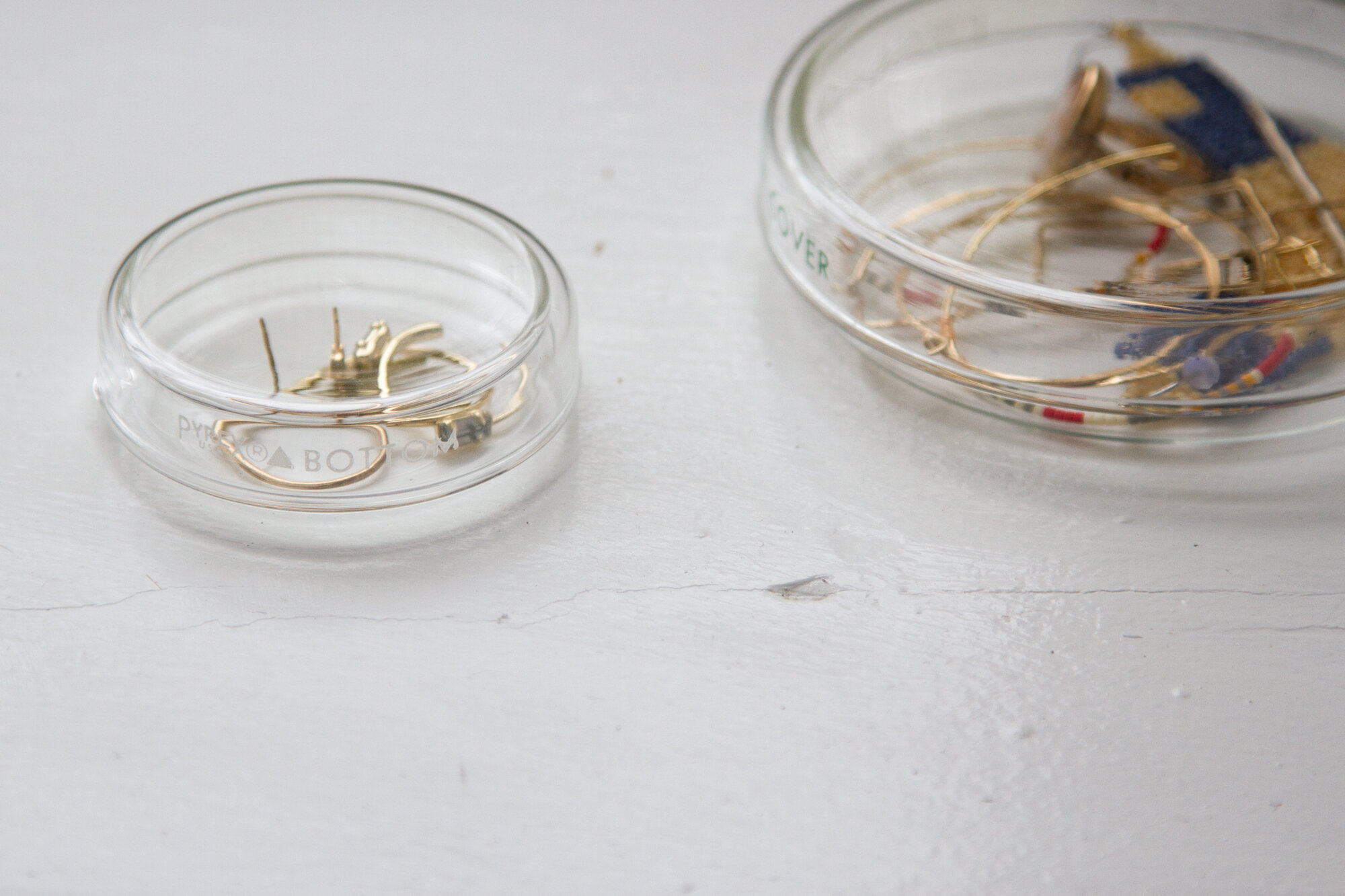 jewelry in petri dishes | reading my tea leaves