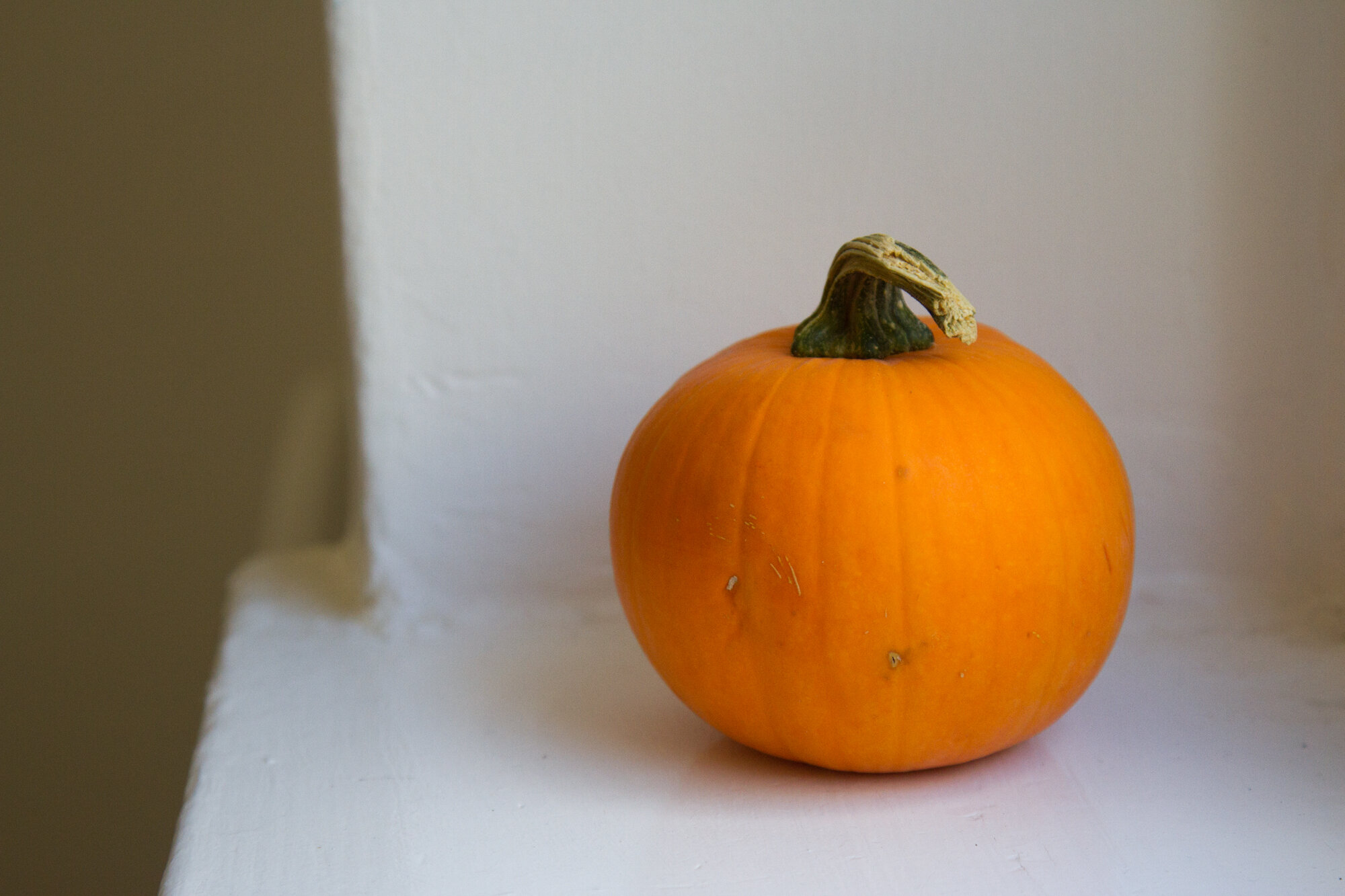 small orange pumpkin