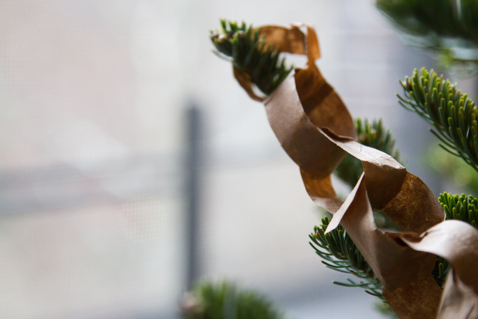 paper chains | reading my tea leaves
