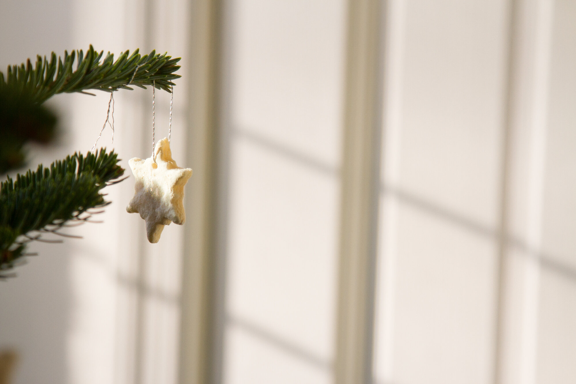 salt dough ornament | reading my tea leaves