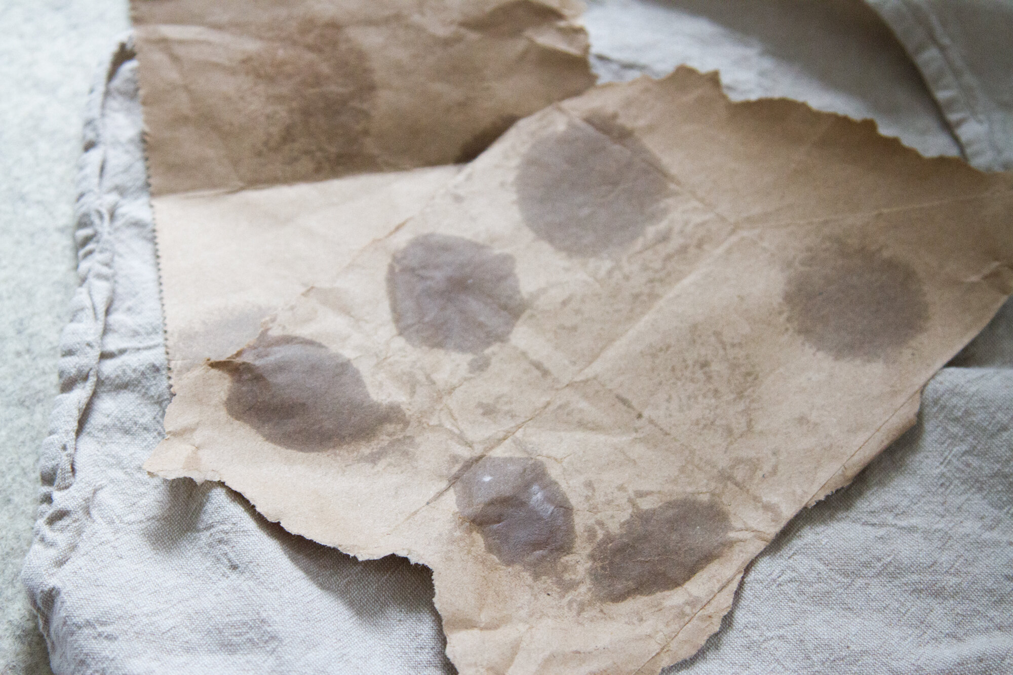 removing wax from fabric | reading my tea leaves