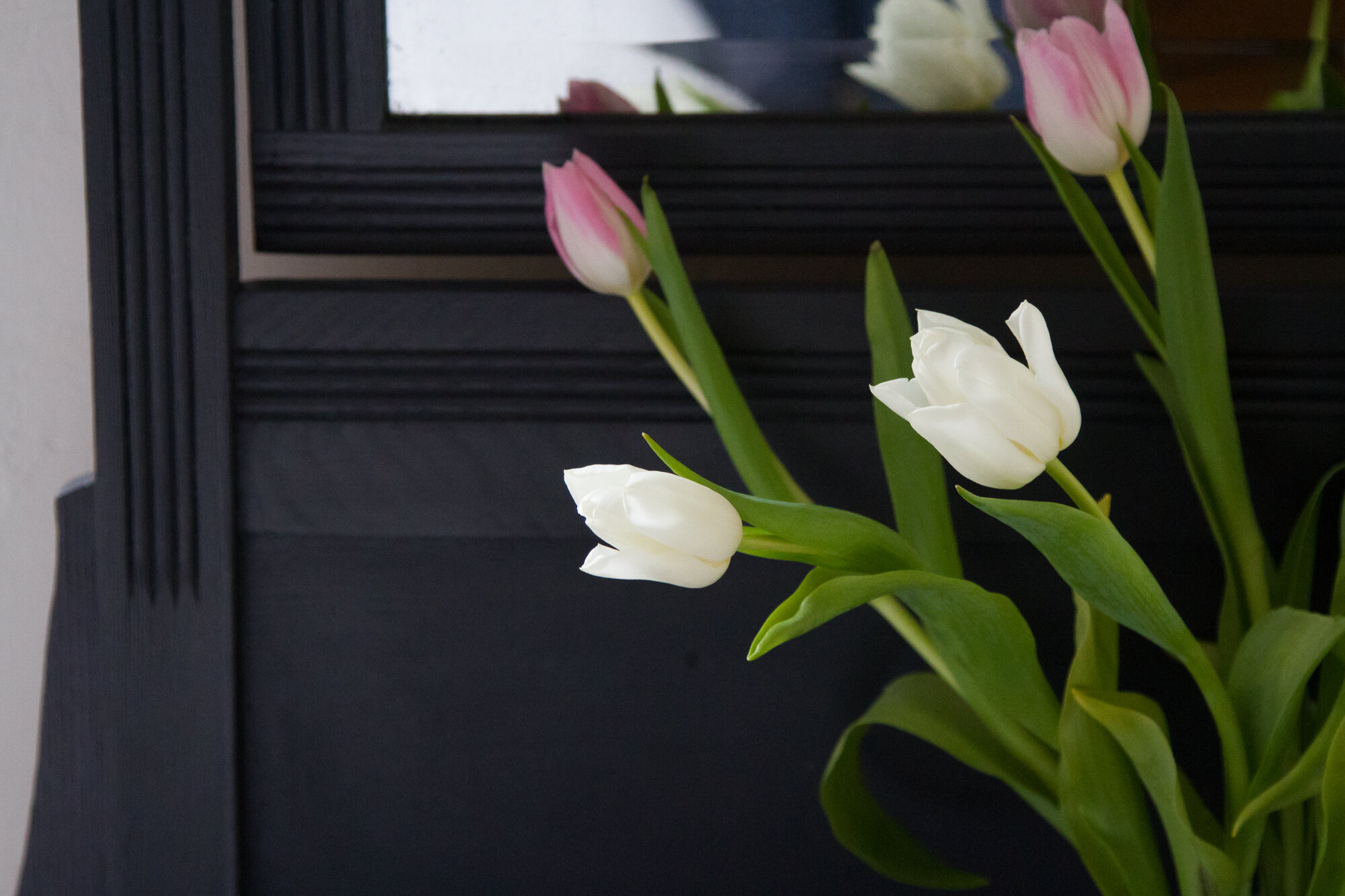 tulips | reading my tea leaves