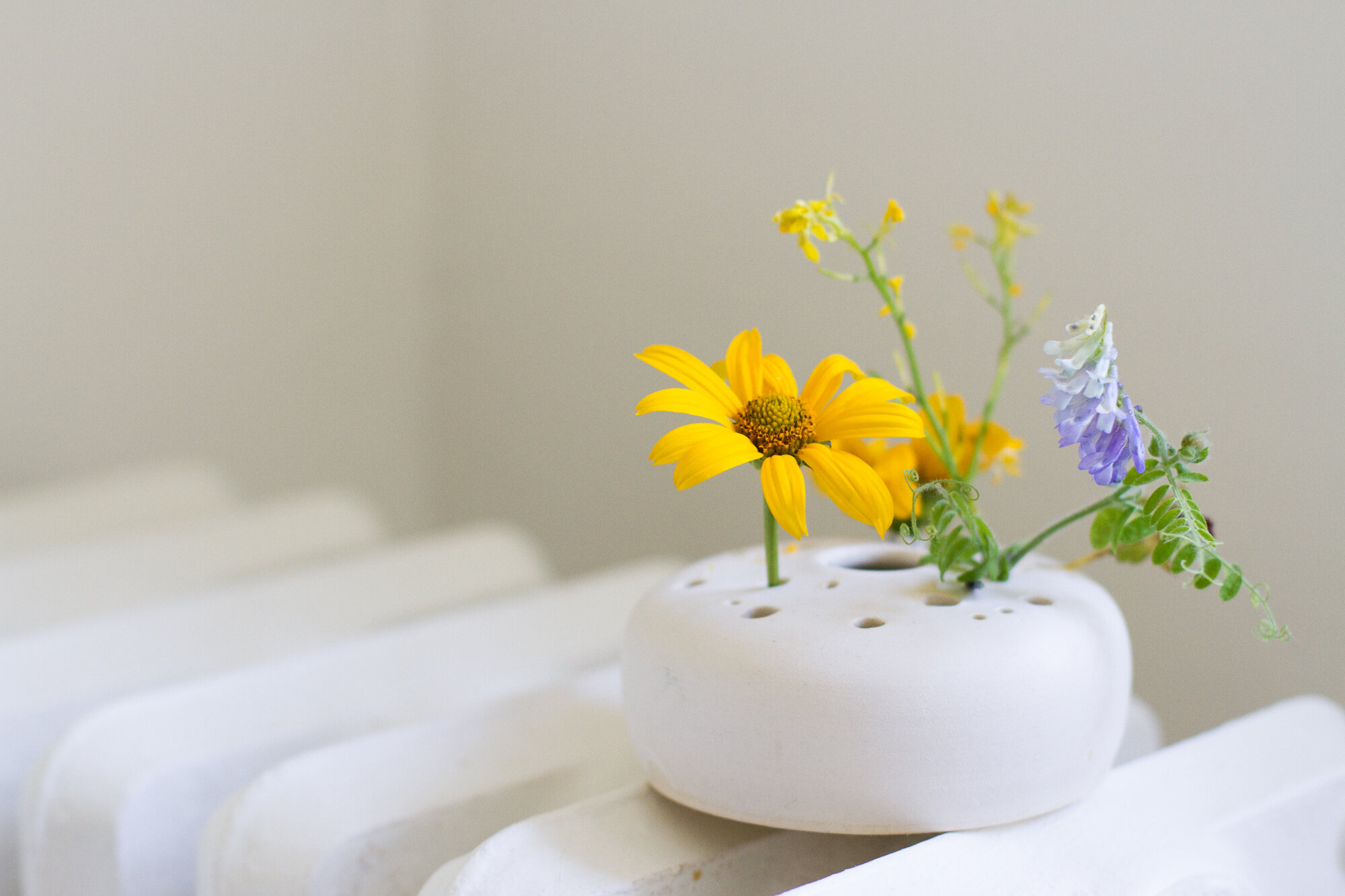 notary ceramics flower frog | reading my tea leaves