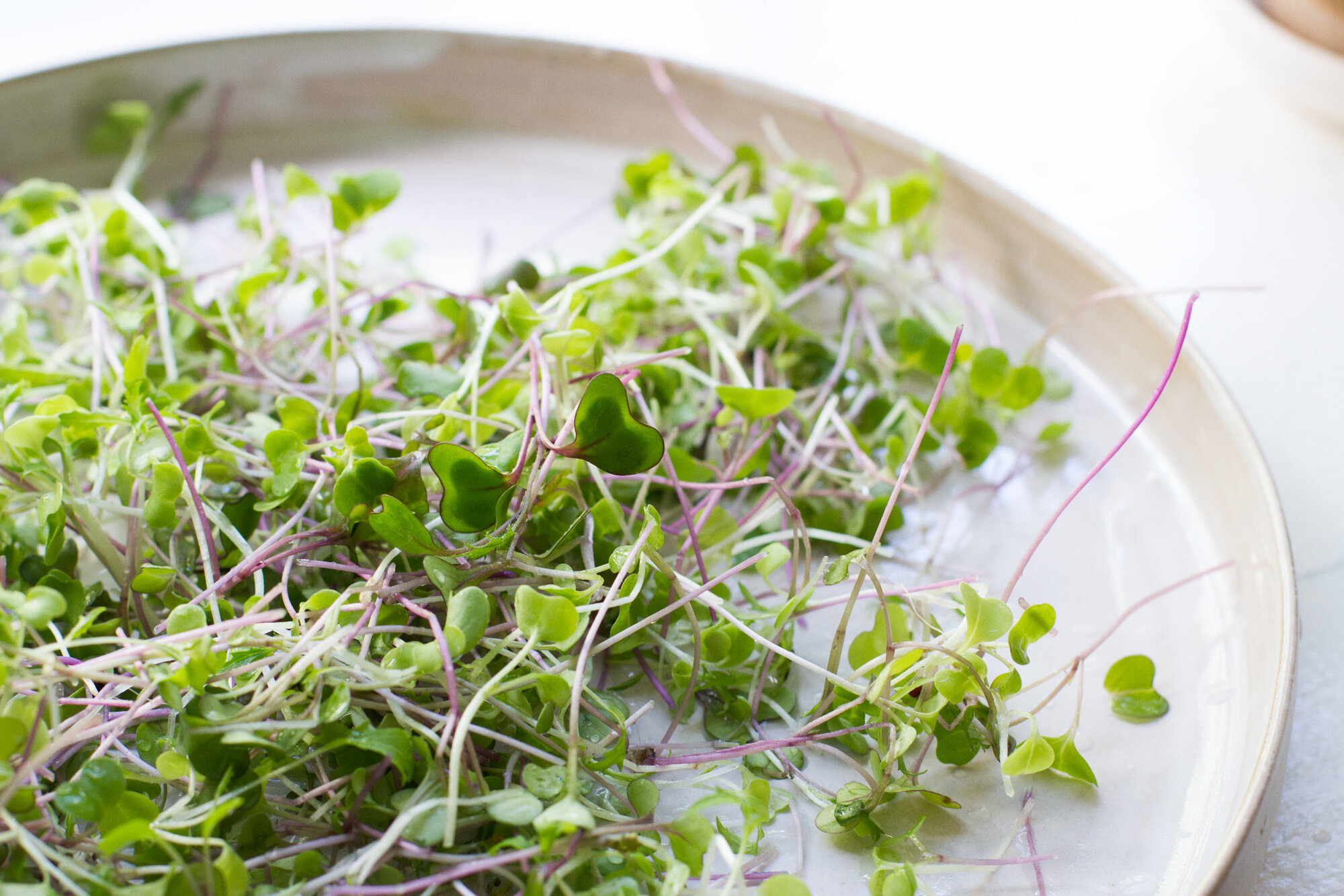 microgreens | reading my tea leaves