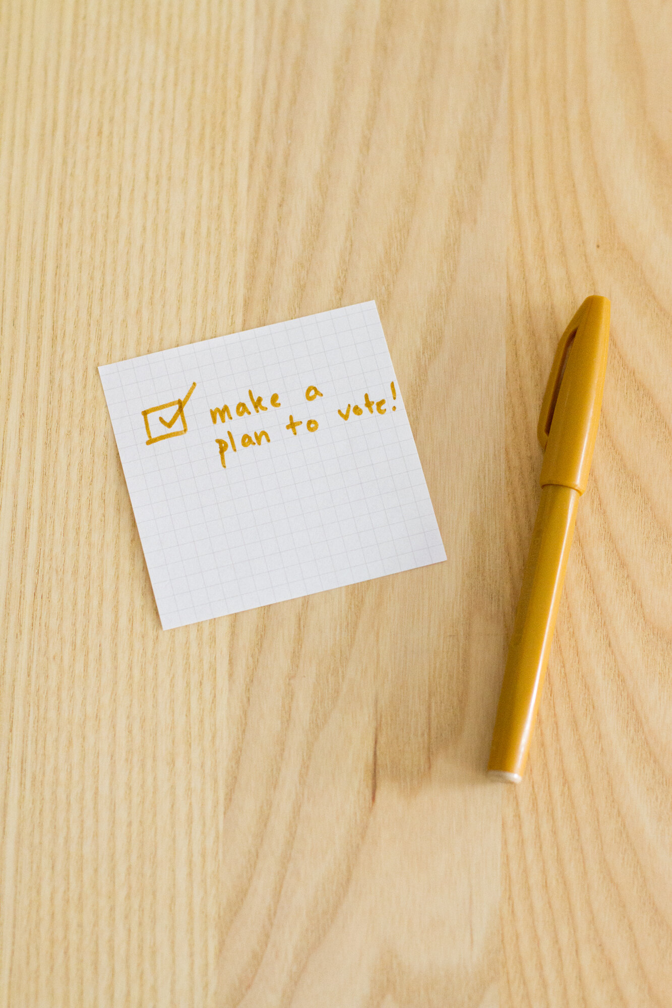 make a plan to vote | reading my tea leaves